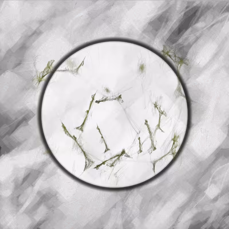 Herbarium Invaders #55