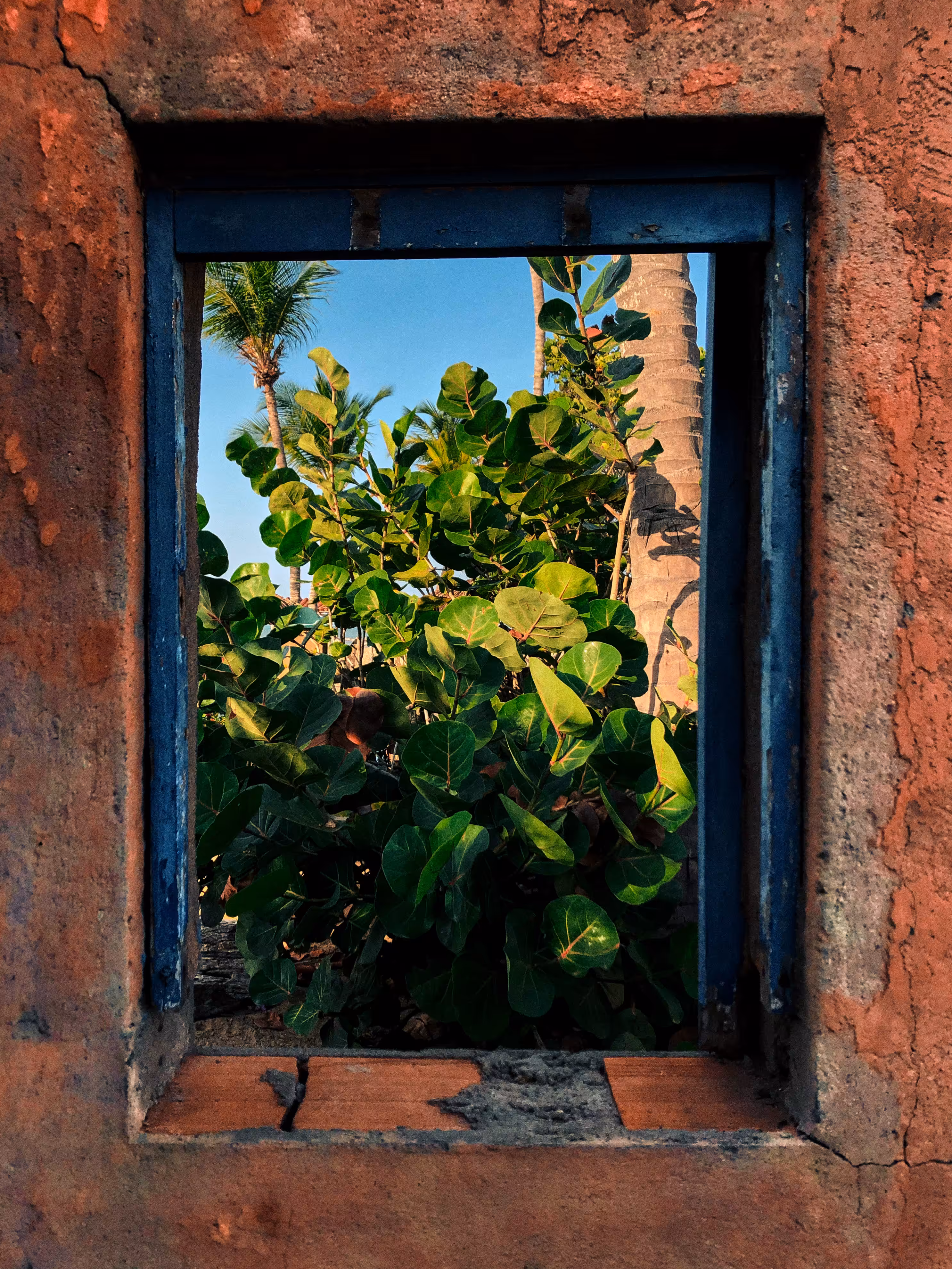 Window into the Beach Soul