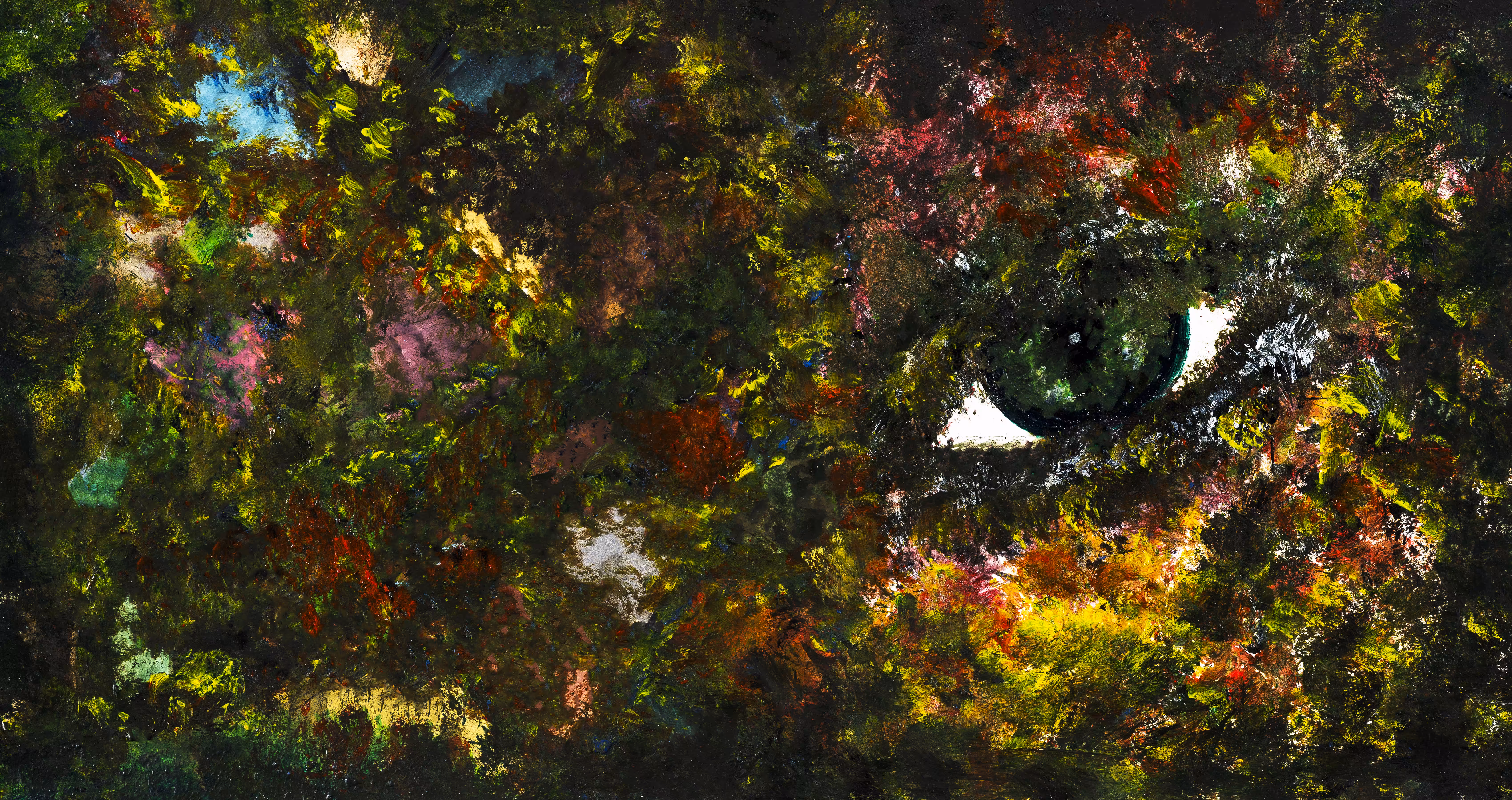 Jungle Eye