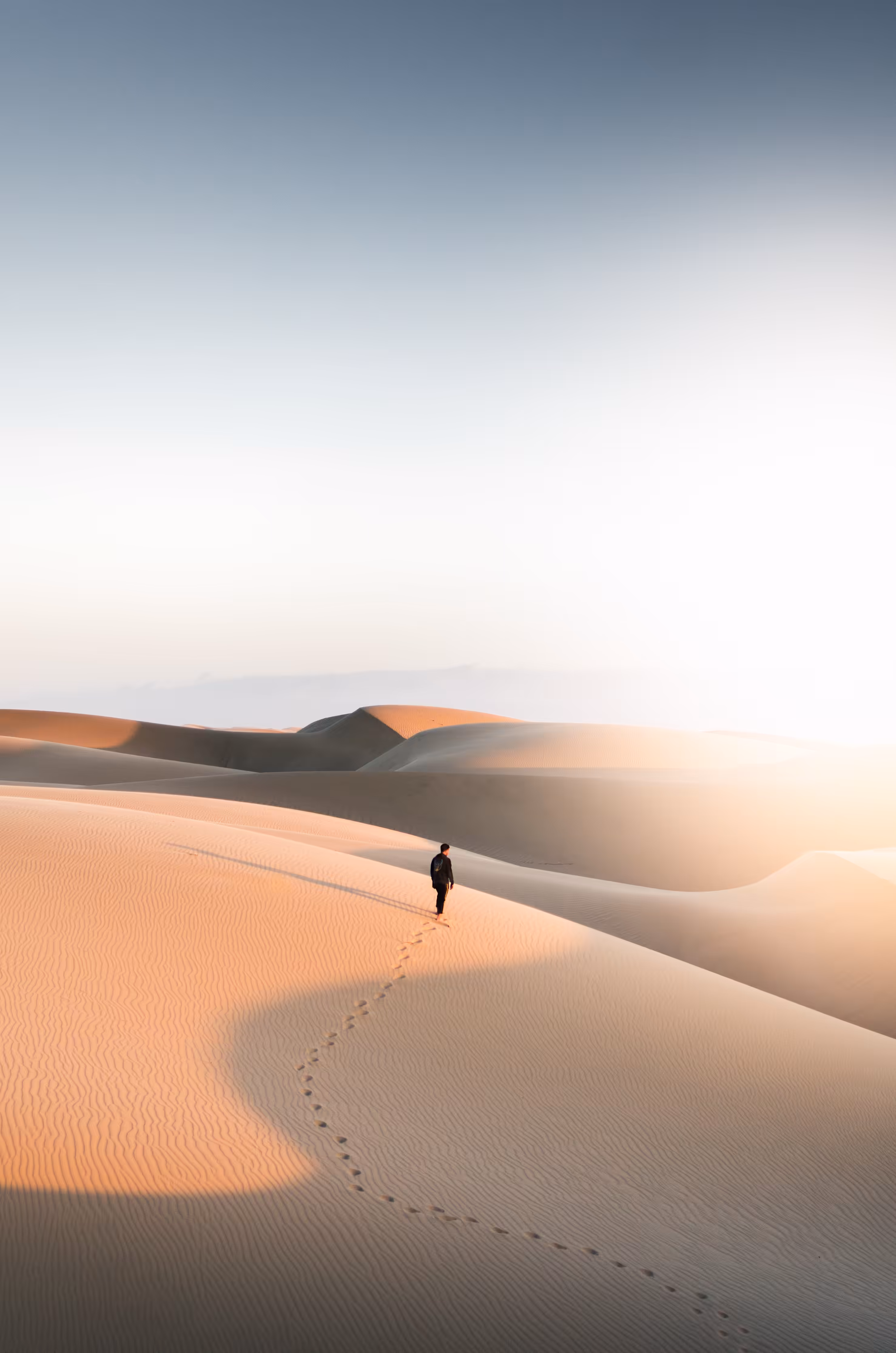 Solitude 