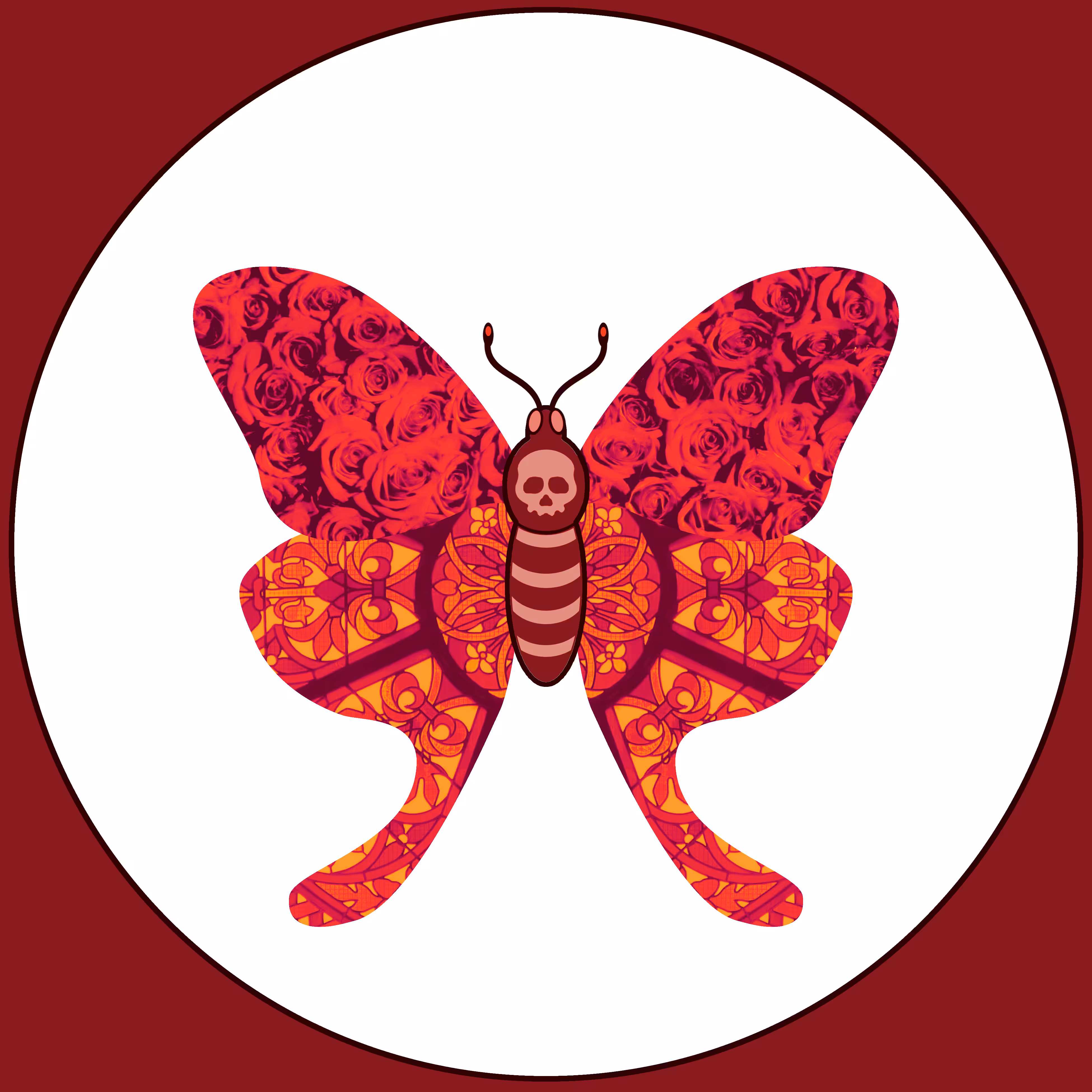 Moth #10