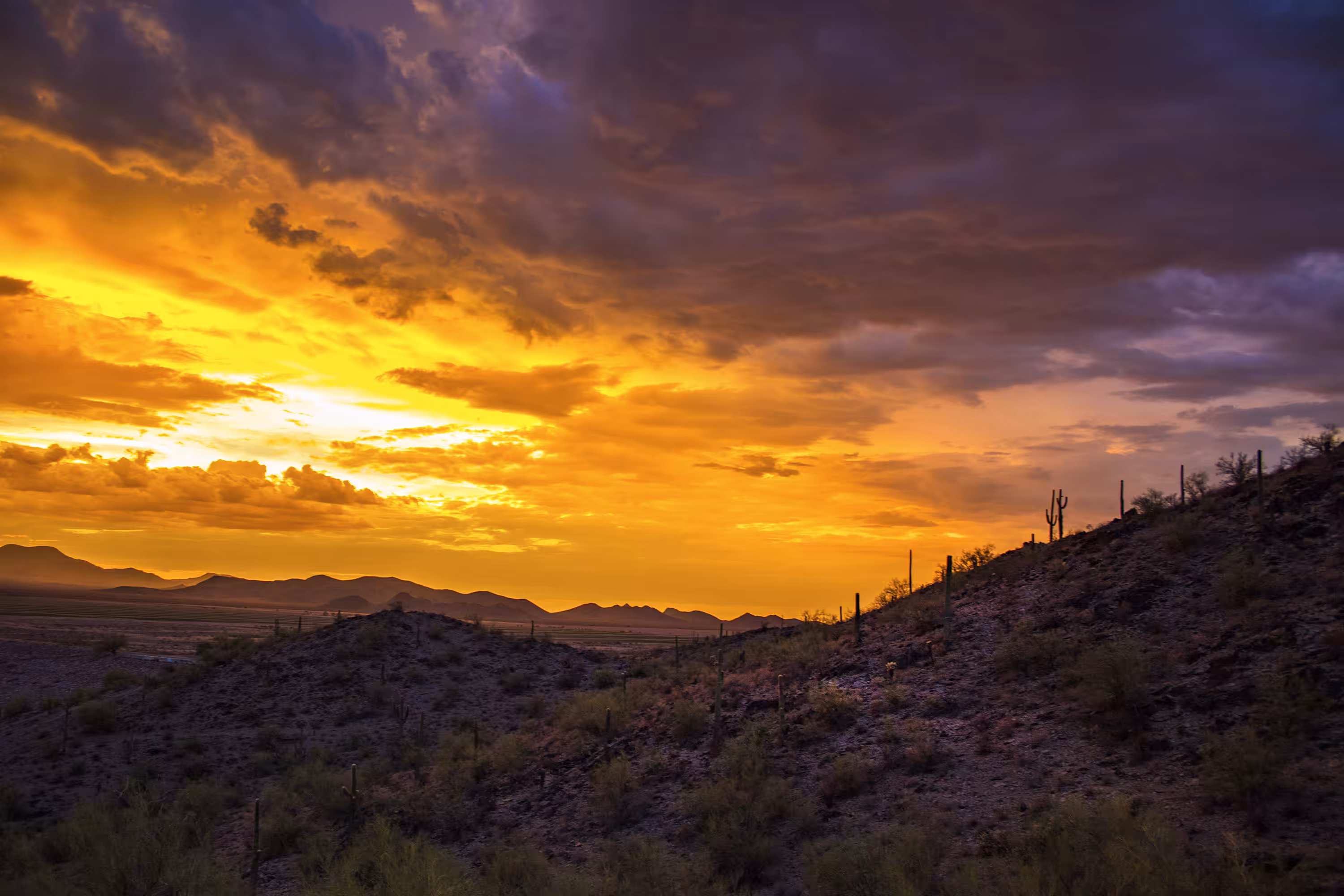 earth.scapes.: At Day's End - Sonoran Desert