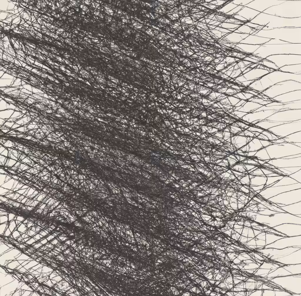 PatternXMultiverse No.1