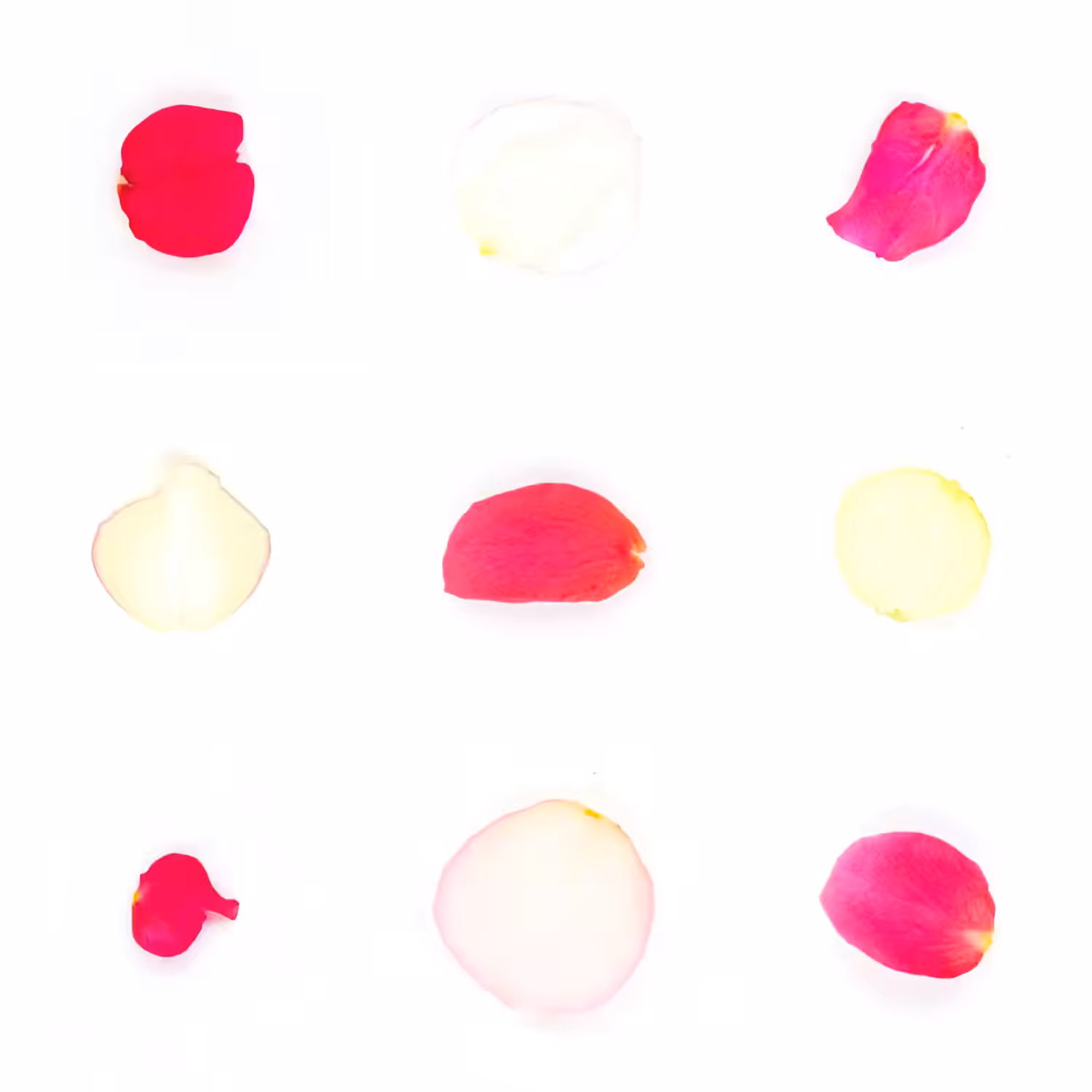 Infinite Petals 3x3#3438