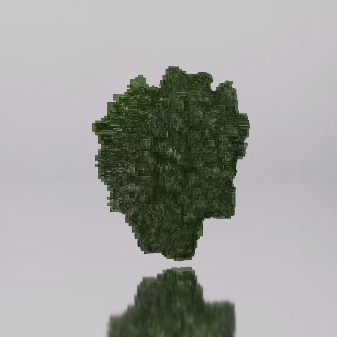 Voxel Moldavite