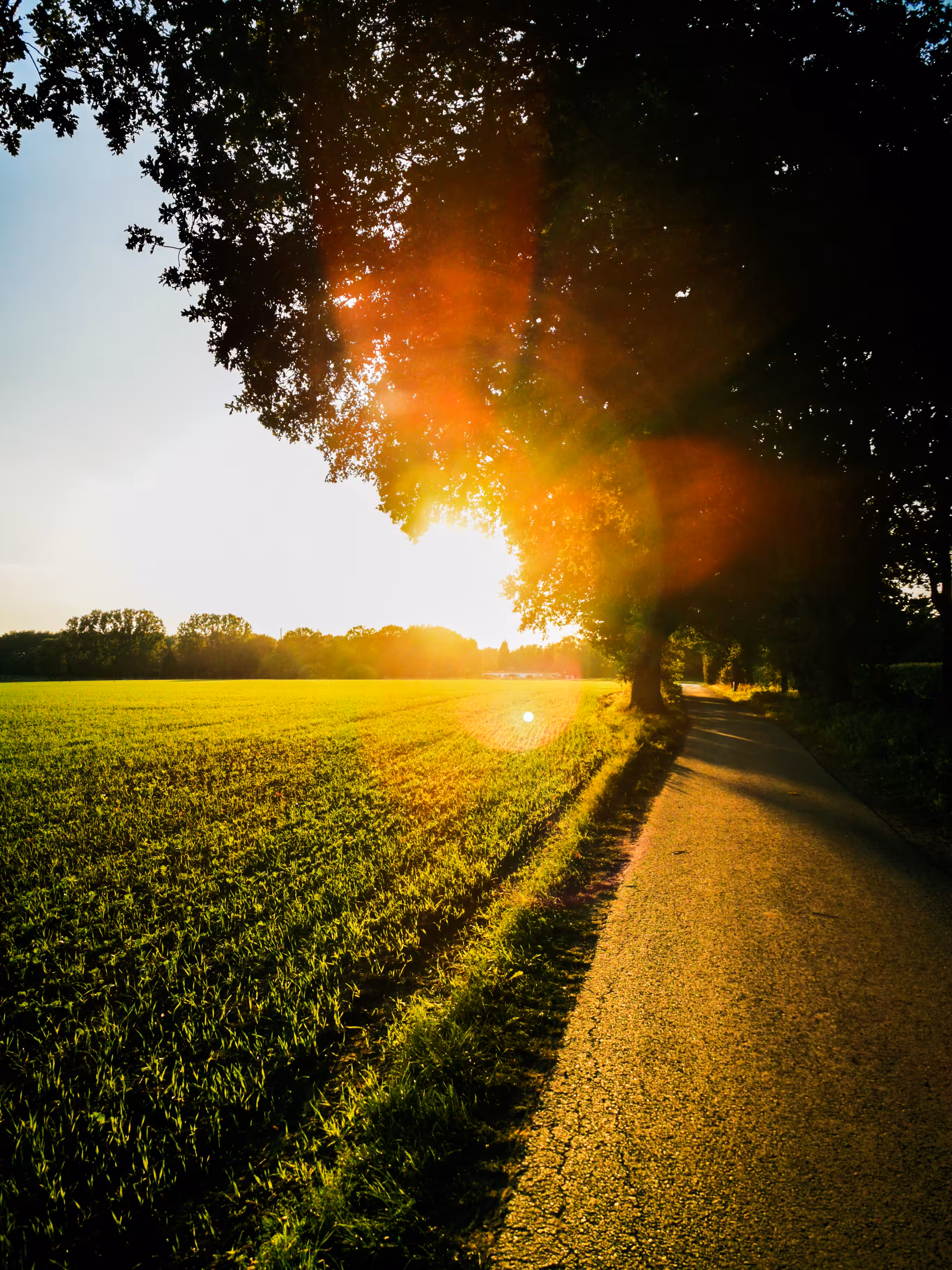 Sunset Stroll III