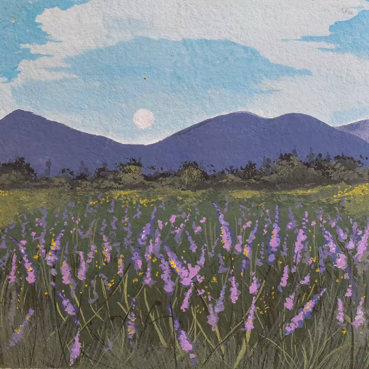 Lavender Perfume