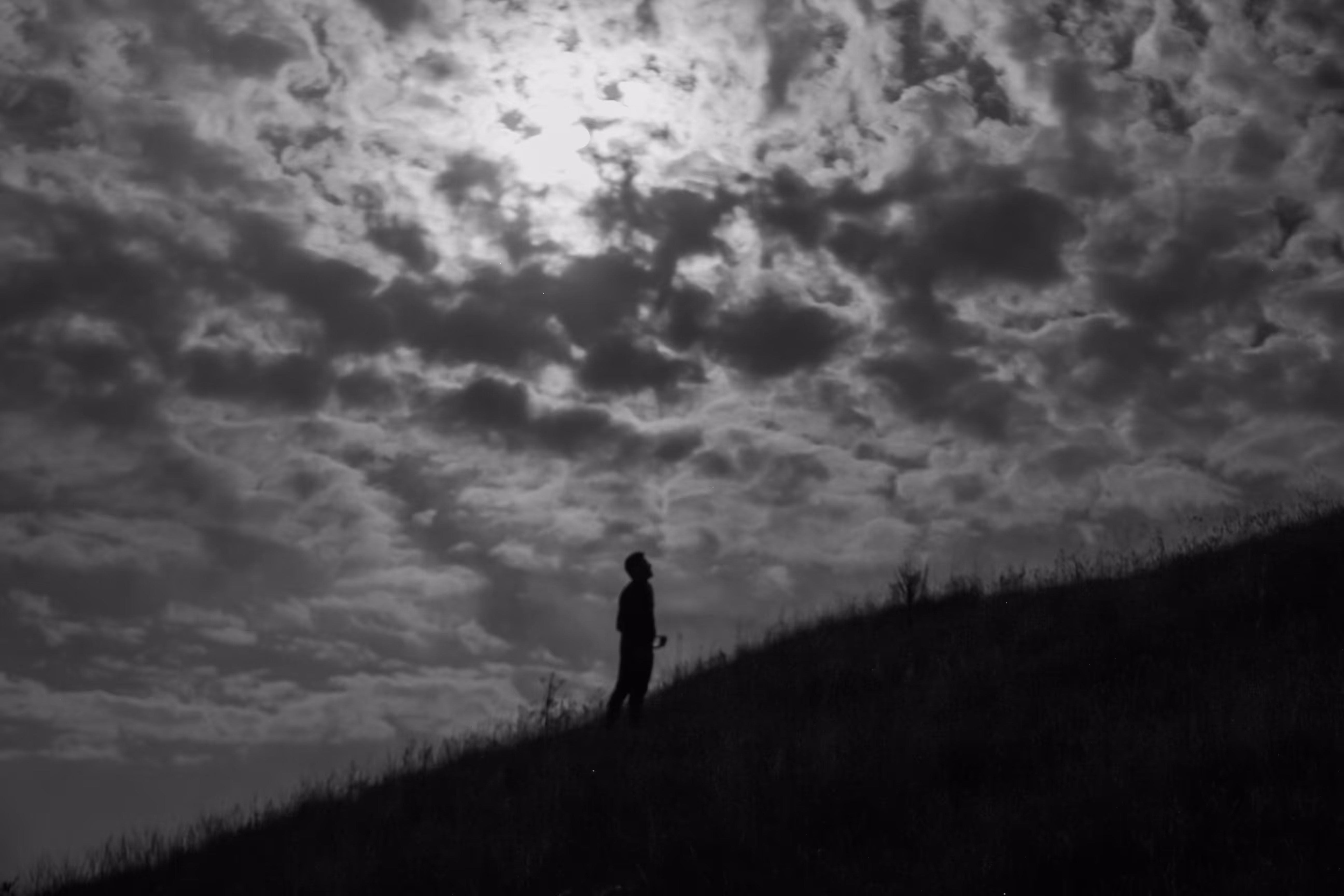 Moonlit Solitude