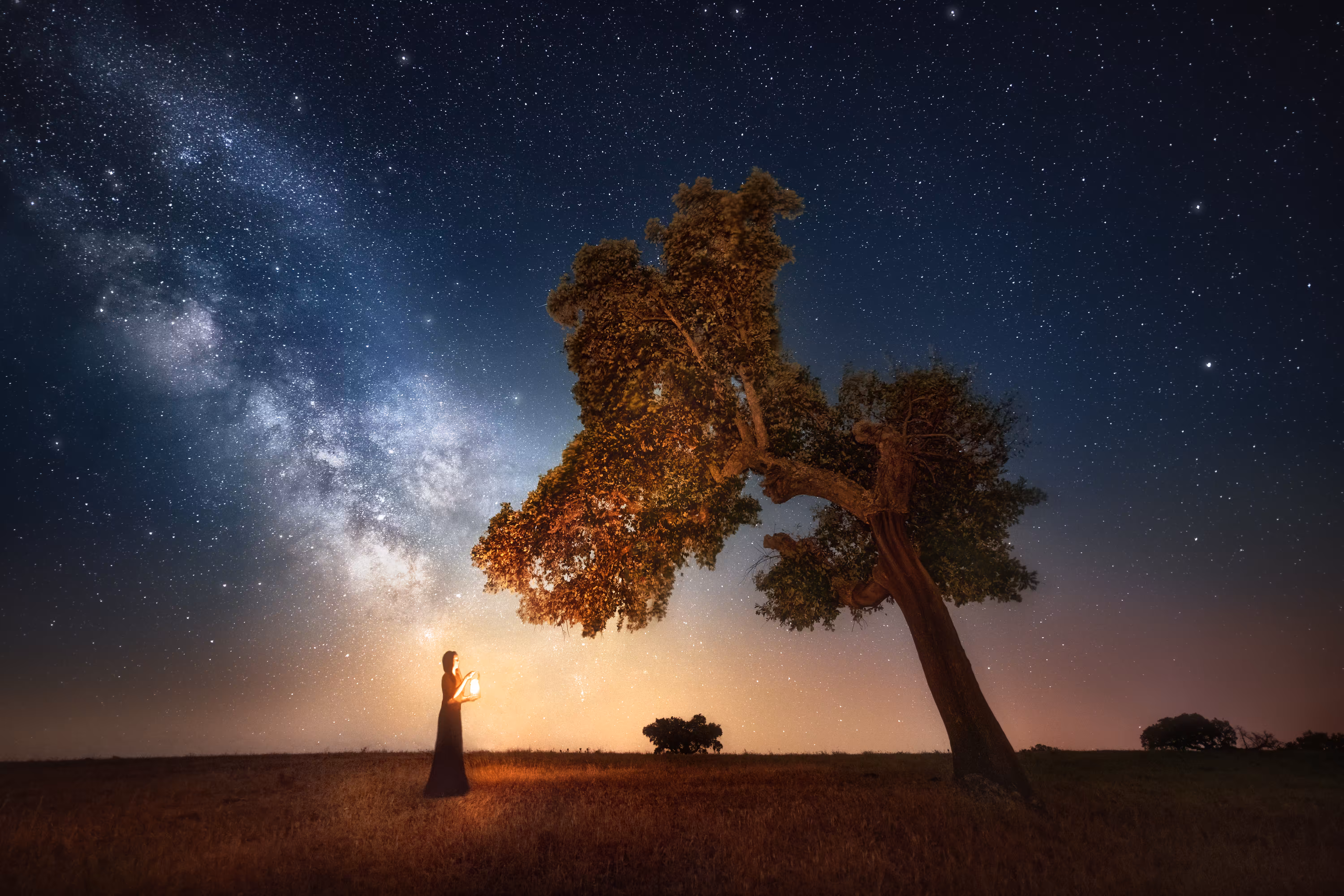 Tales of Wolves and Light