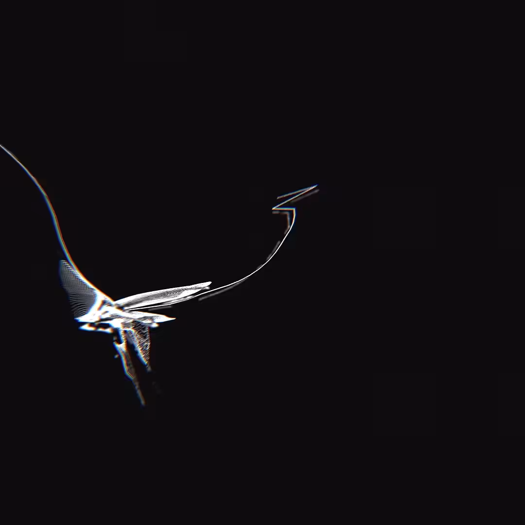 Lightning Bug #001