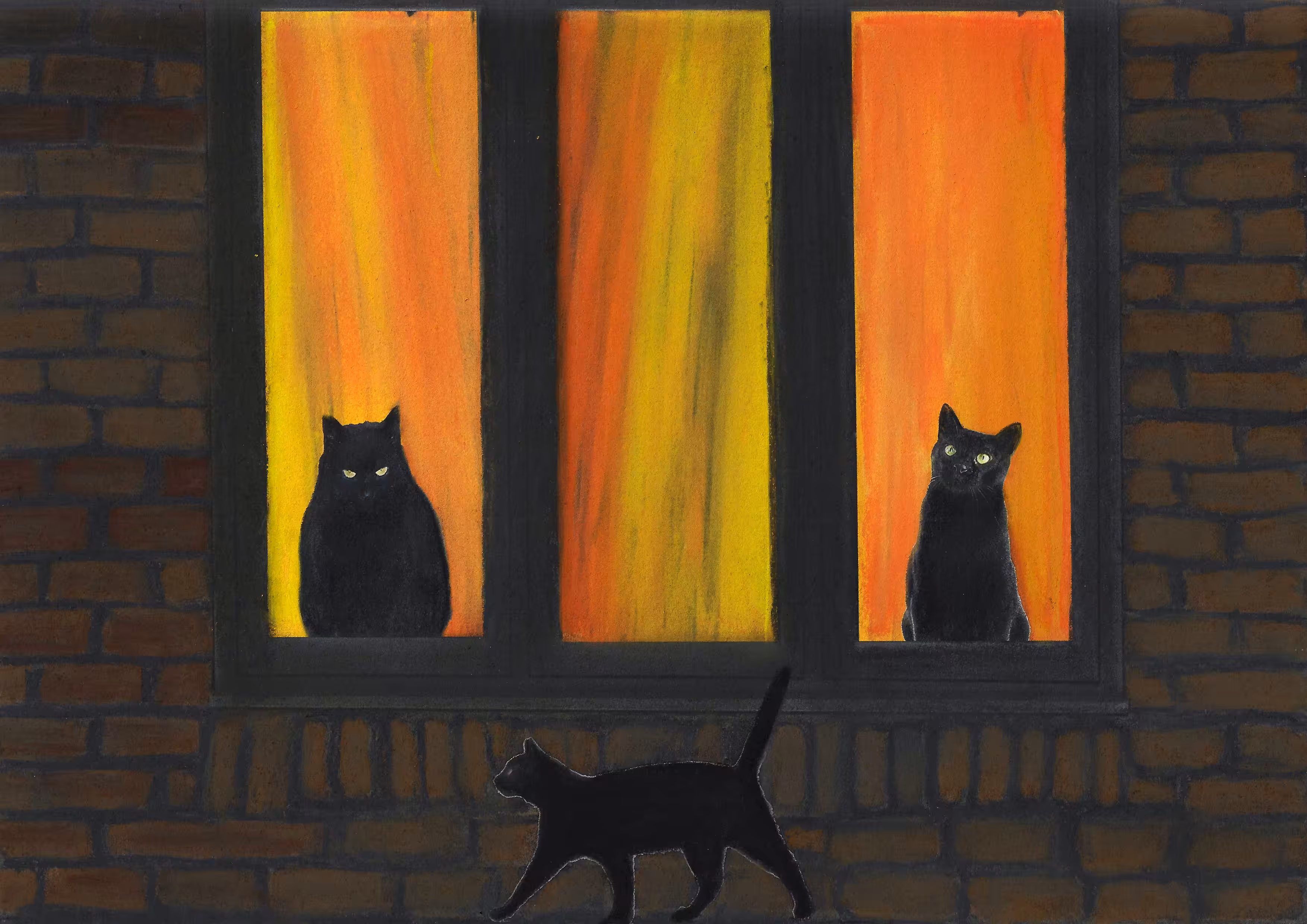 cats&another beautiful pets: My neighbours are  black cats
