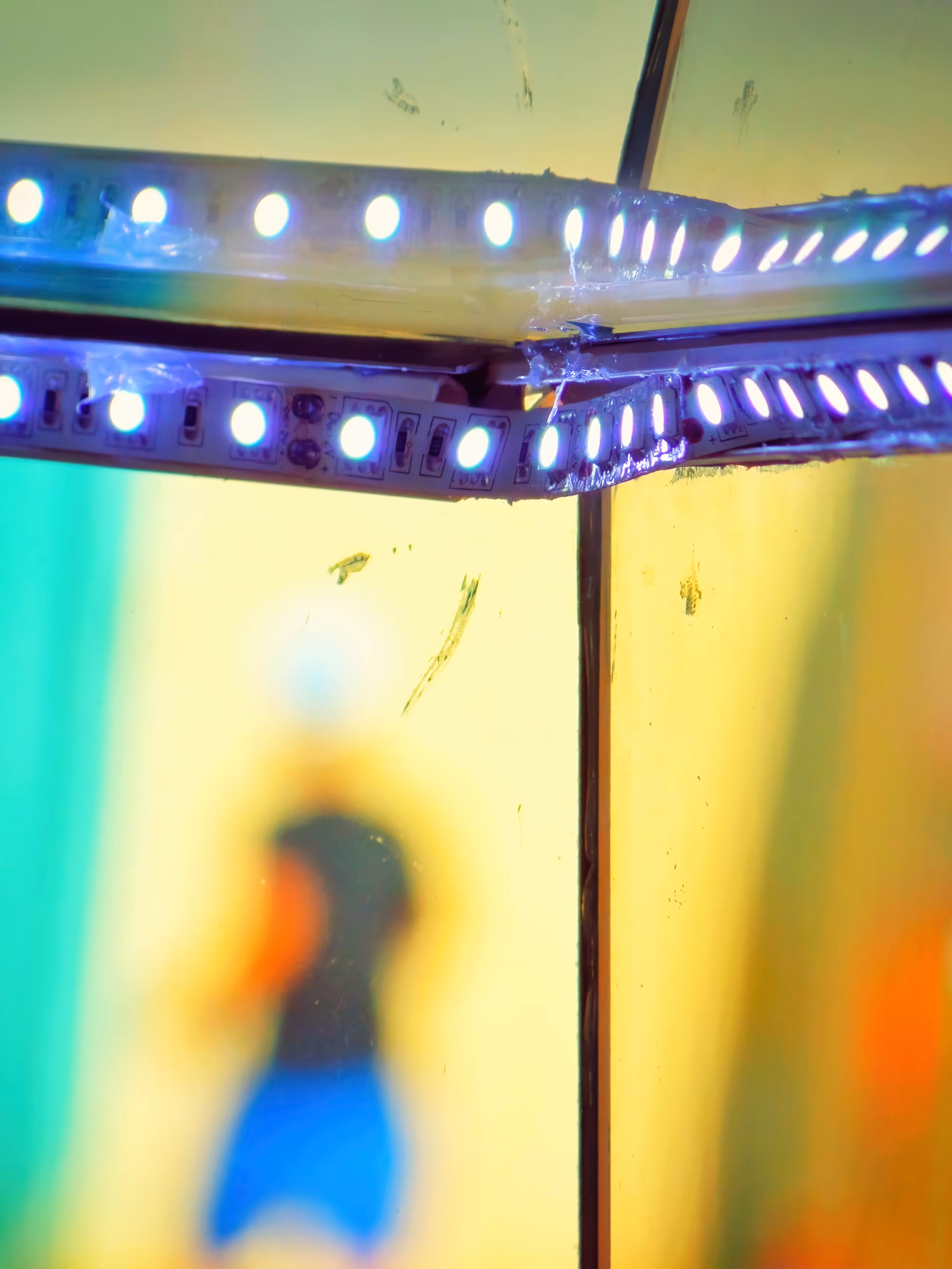 The LEDs