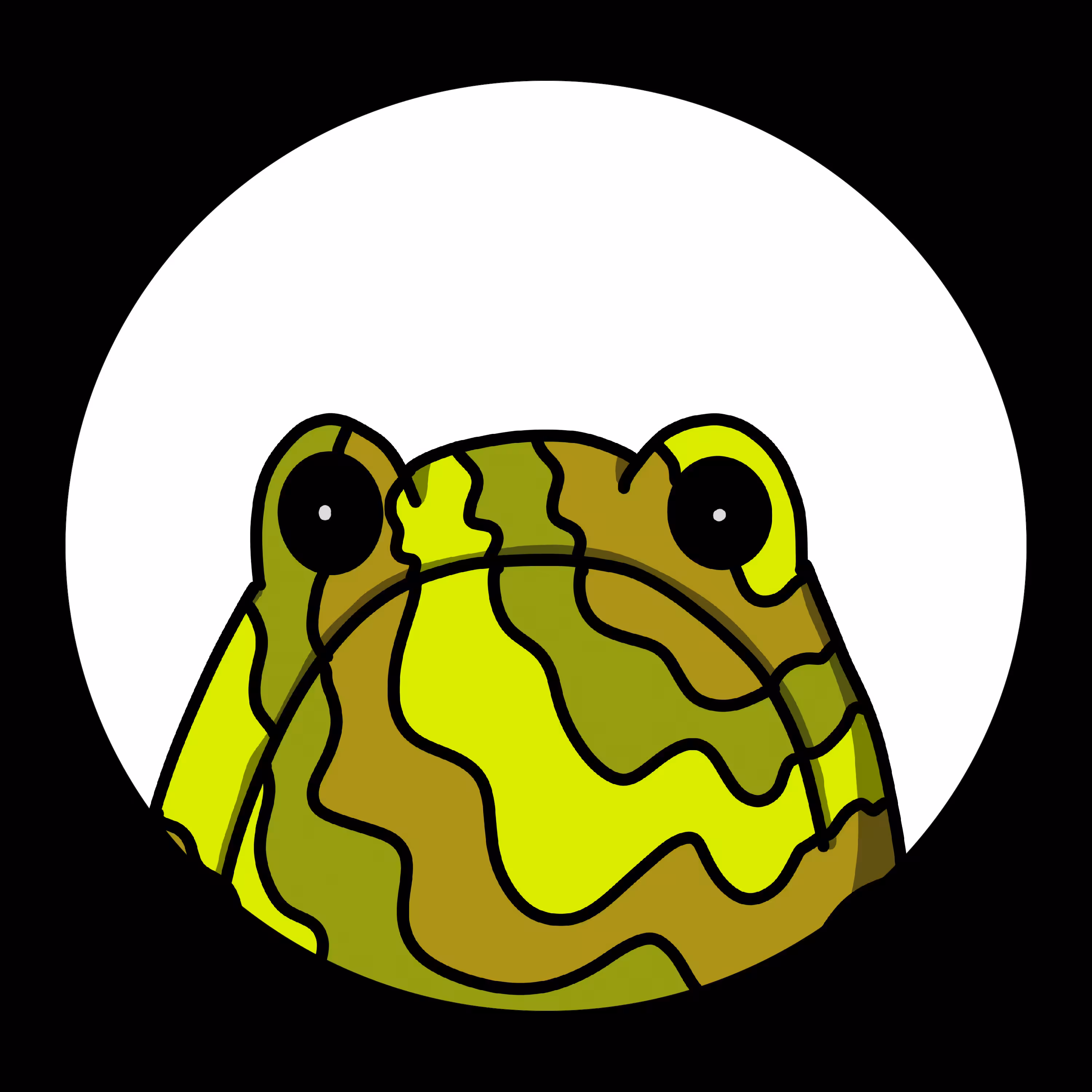 GEMZ 560