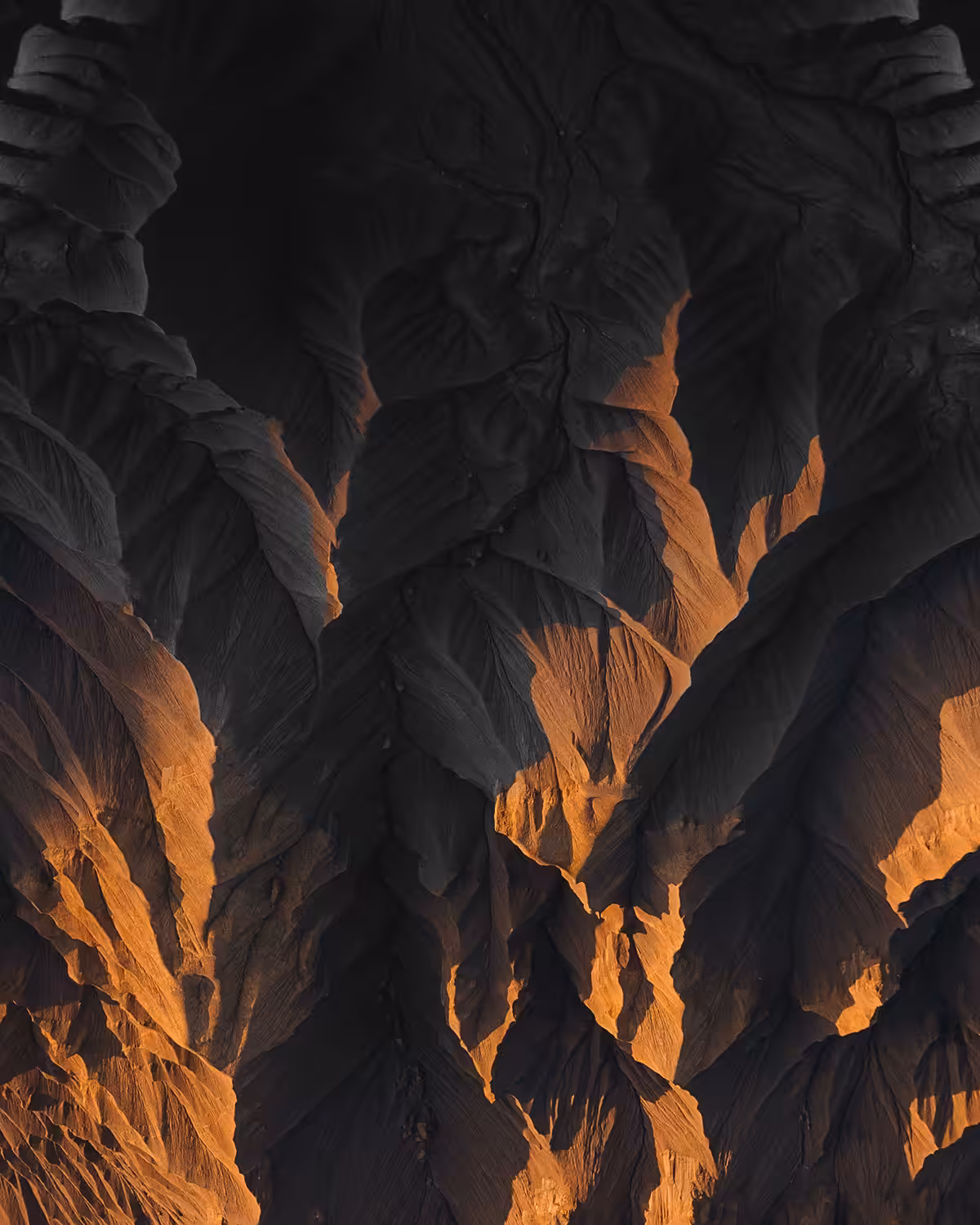 VEIN