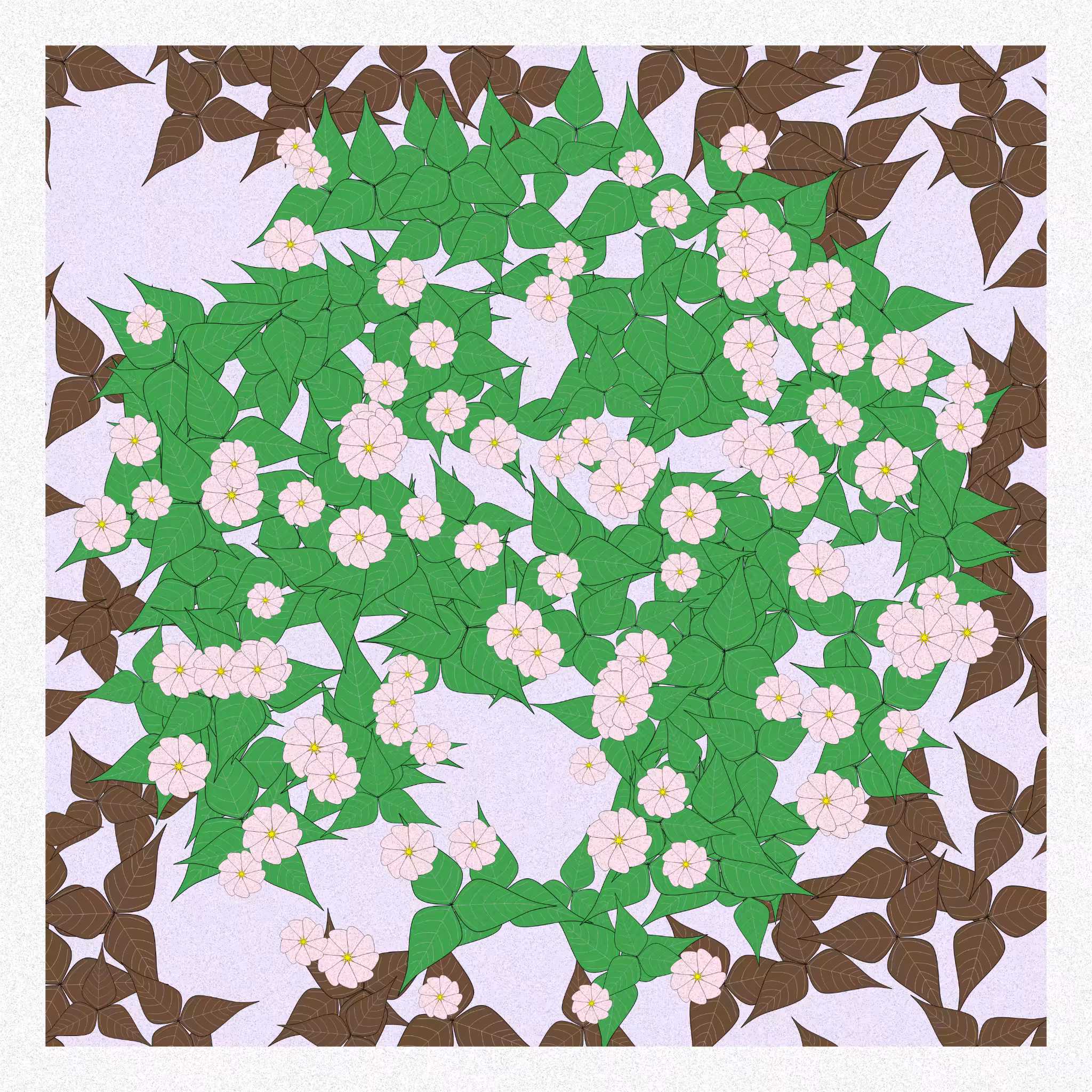 Flowers #228