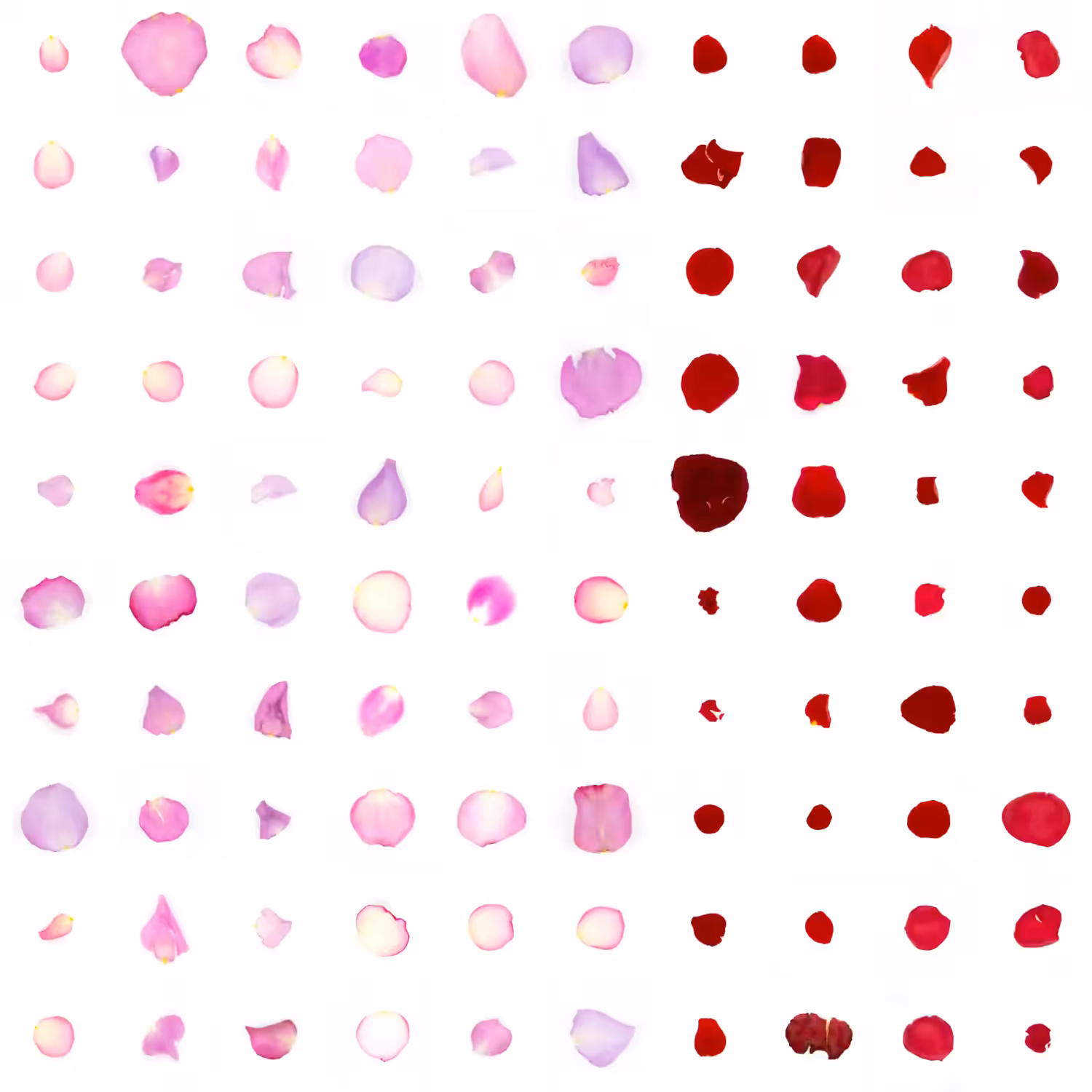 Infinite Petals 10x10#10101