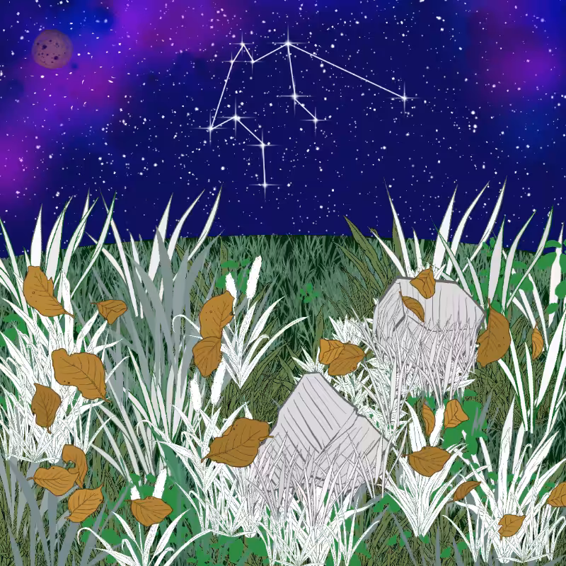 Zodiac #1