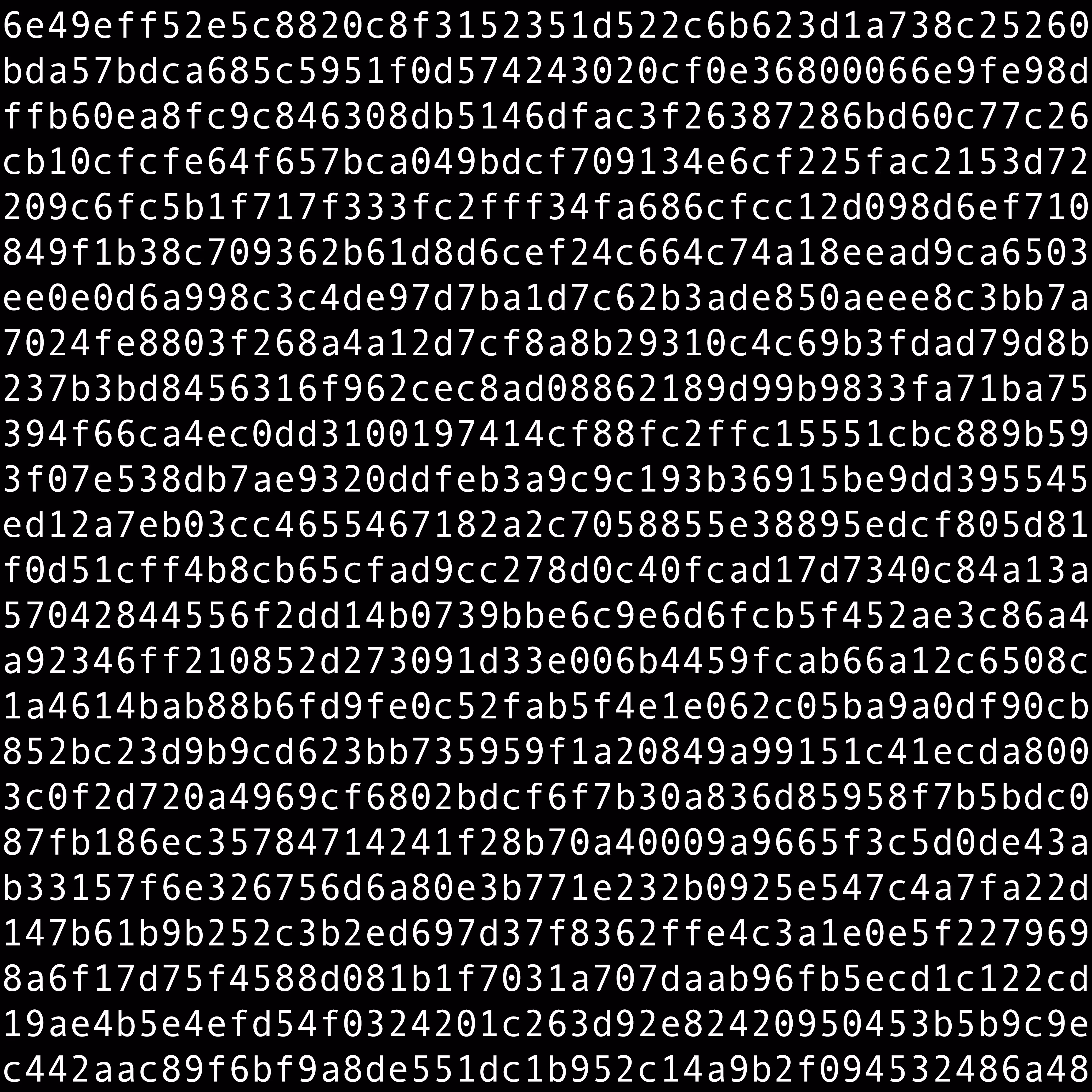 1111 #0619