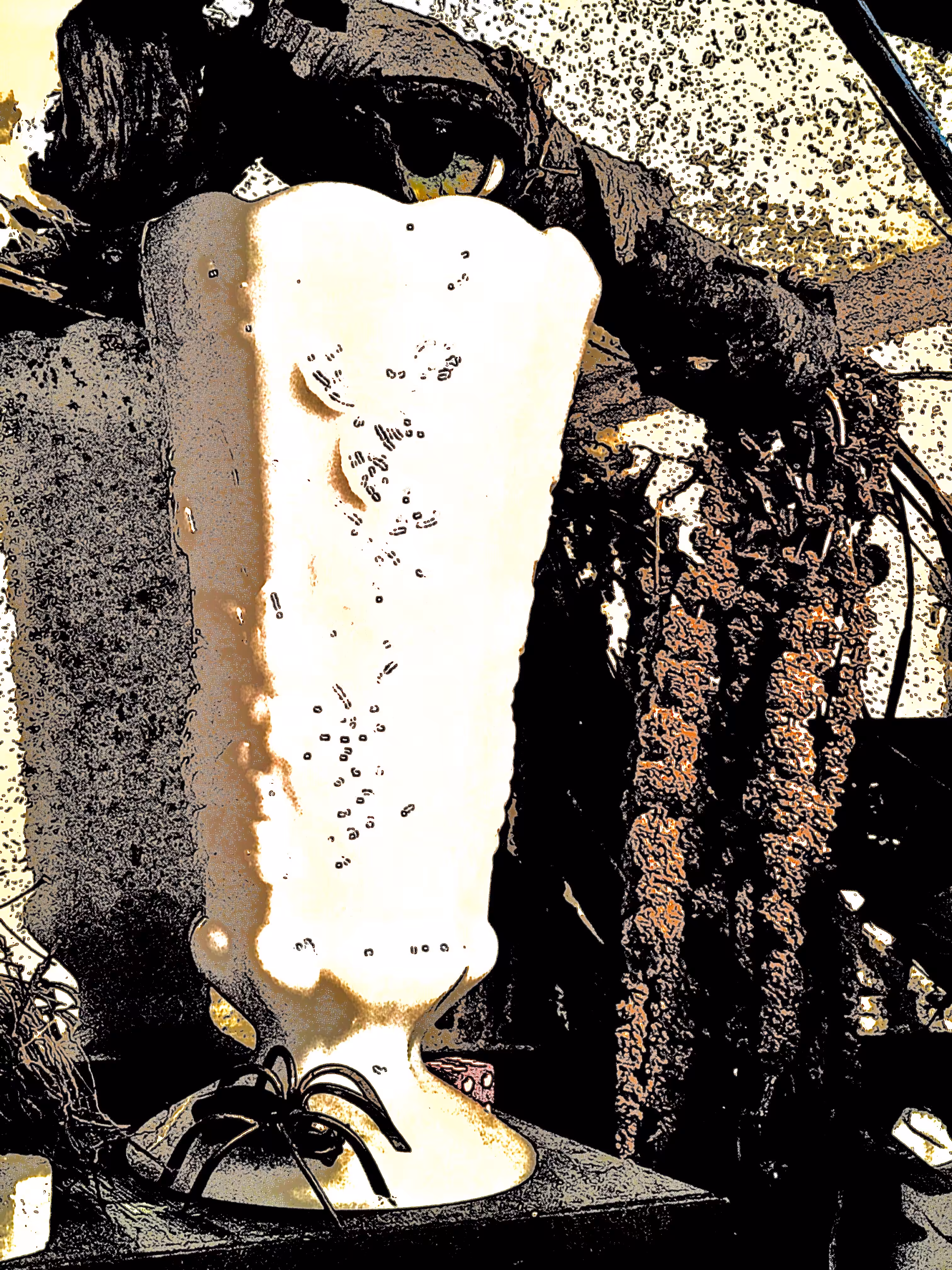 The White Vase