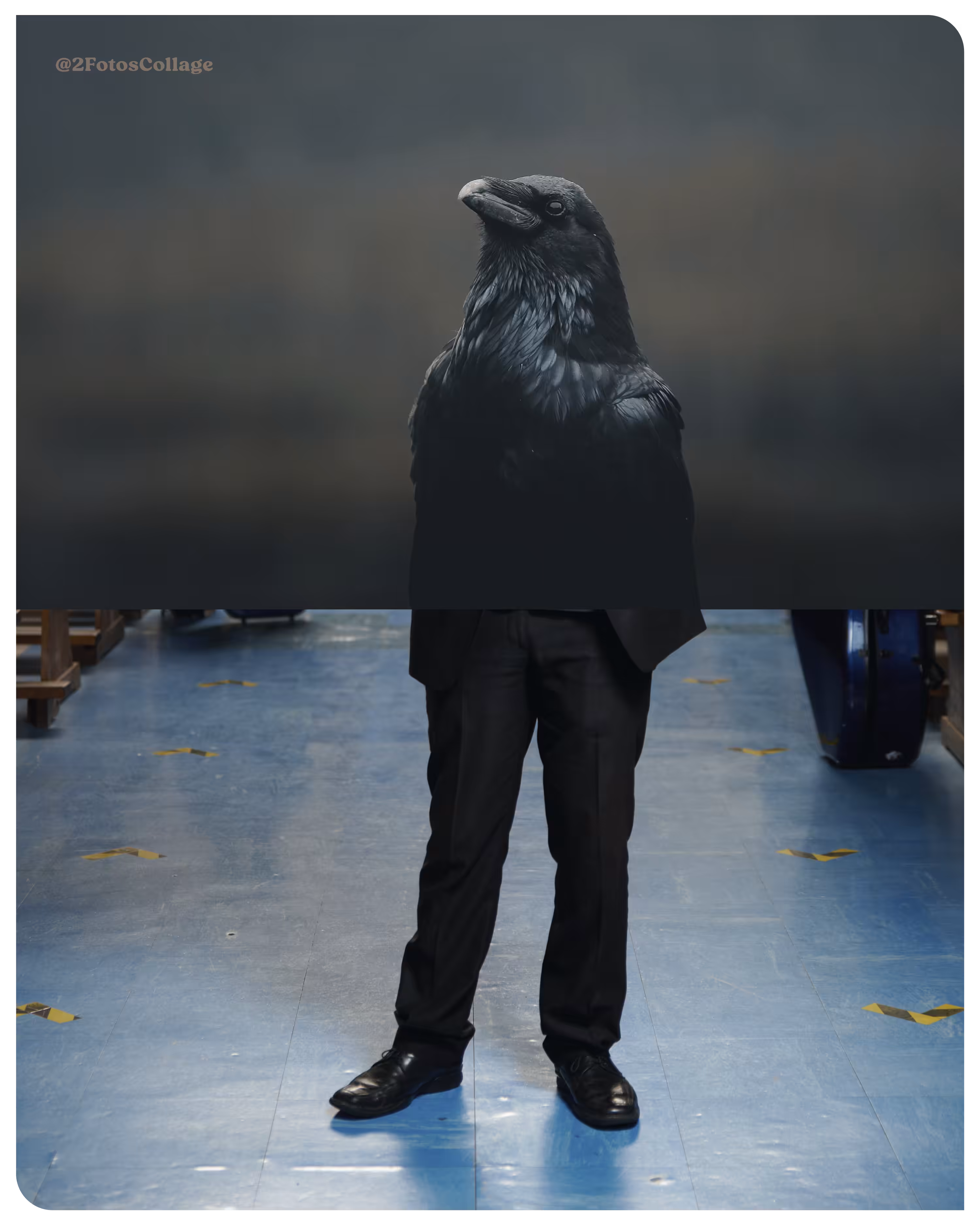 RAVEN MAN  2FotosCollage 01