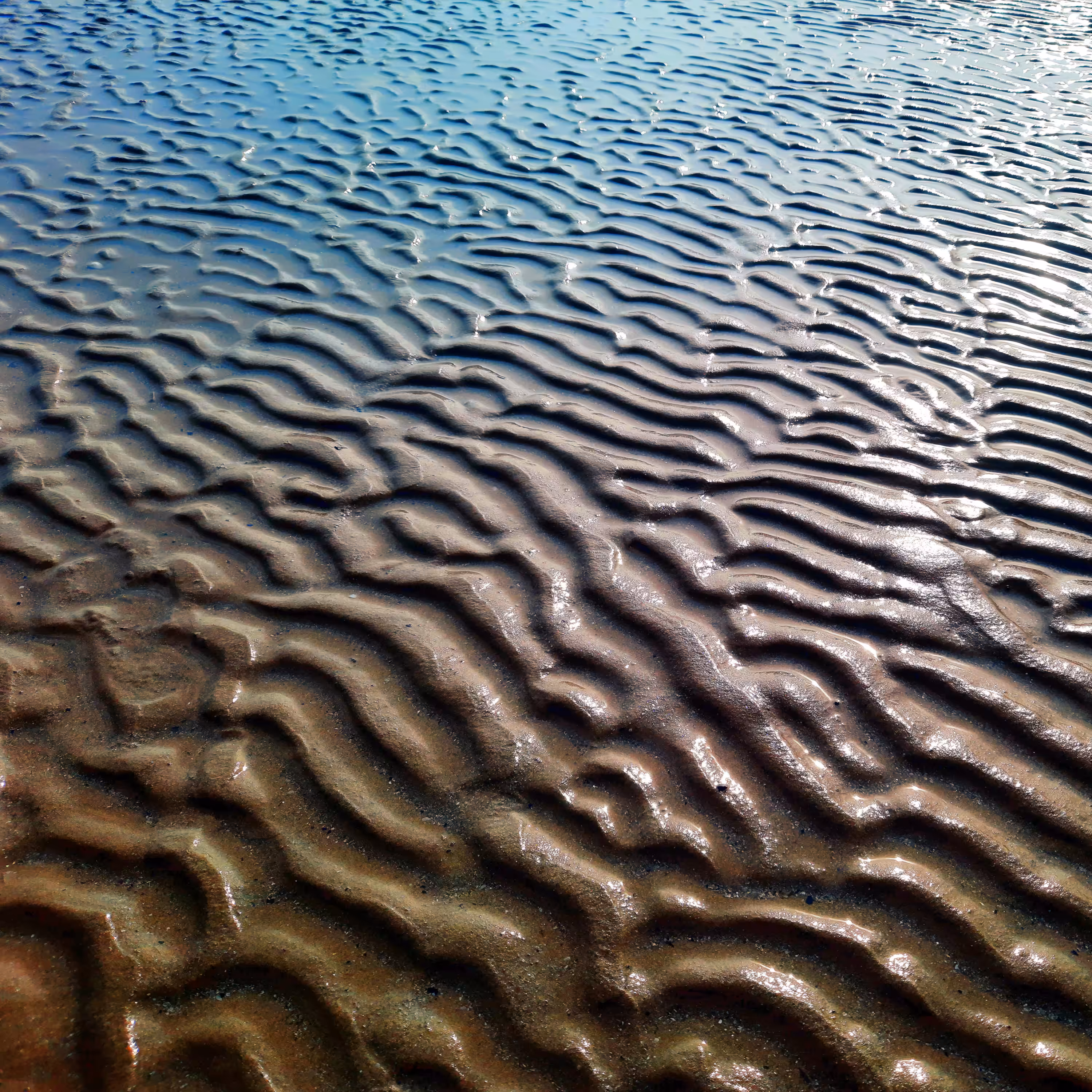 𝒞𝑒𝒸𝒾 𝓃'𝑒𝓈𝓉 𝓅𝒶𝓈 𝓊𝓃 3D - terrain