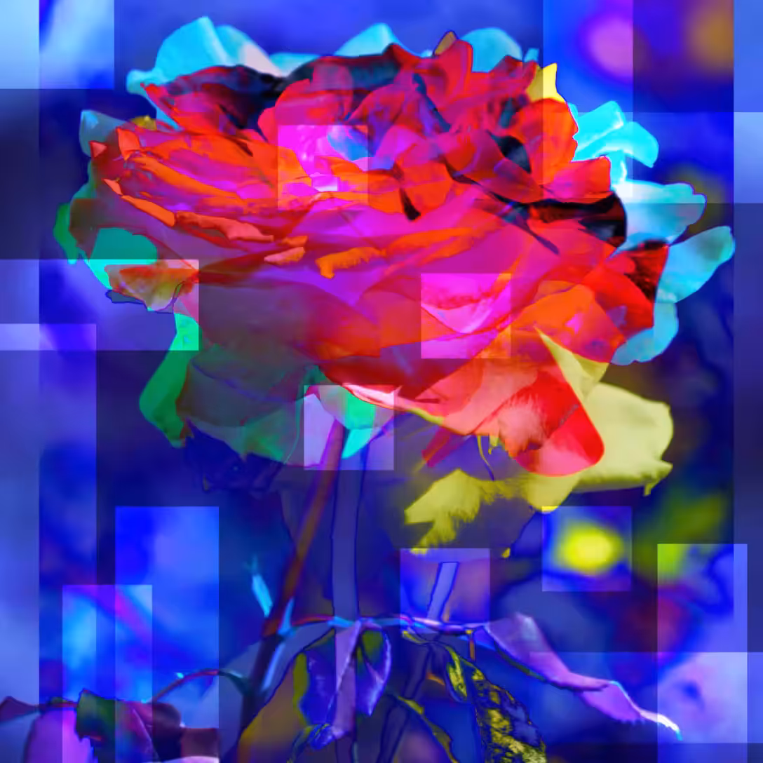 i FLORA 