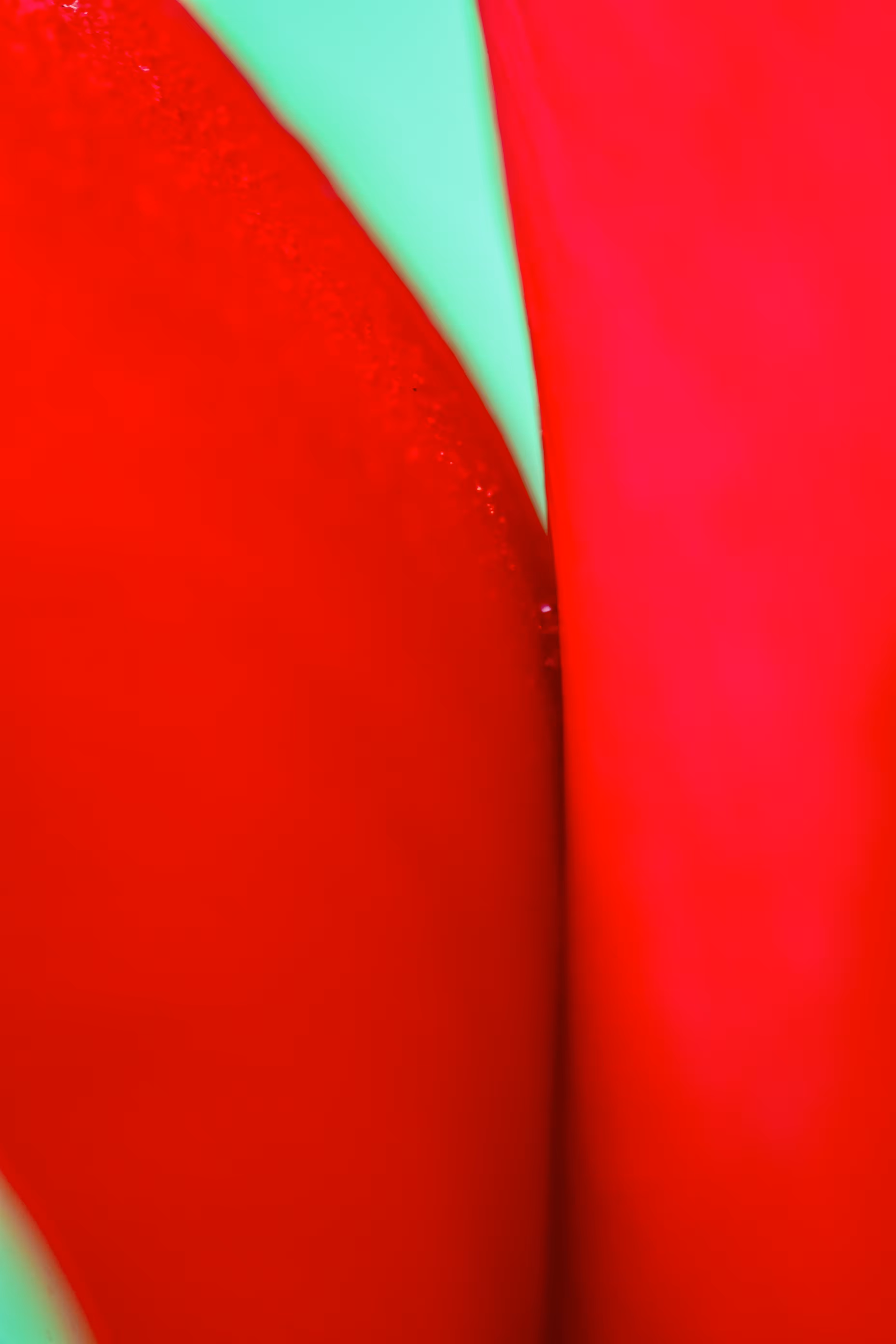Red Lady