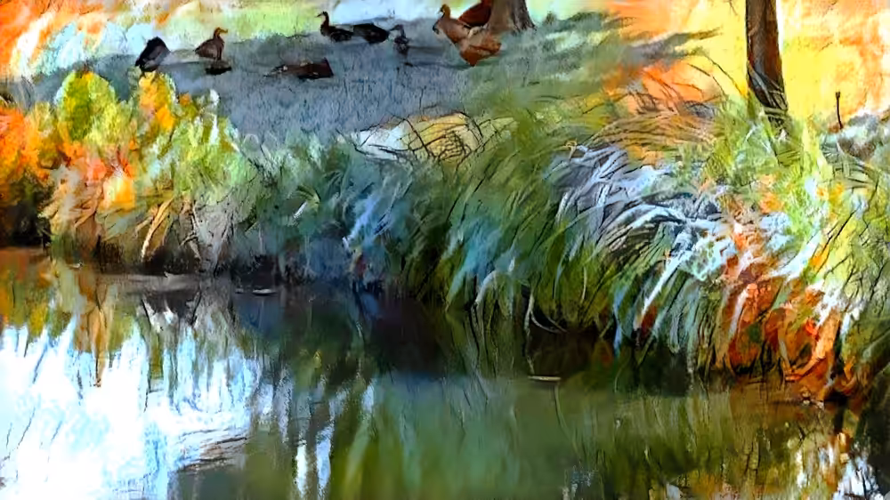 Ducks in the Shade