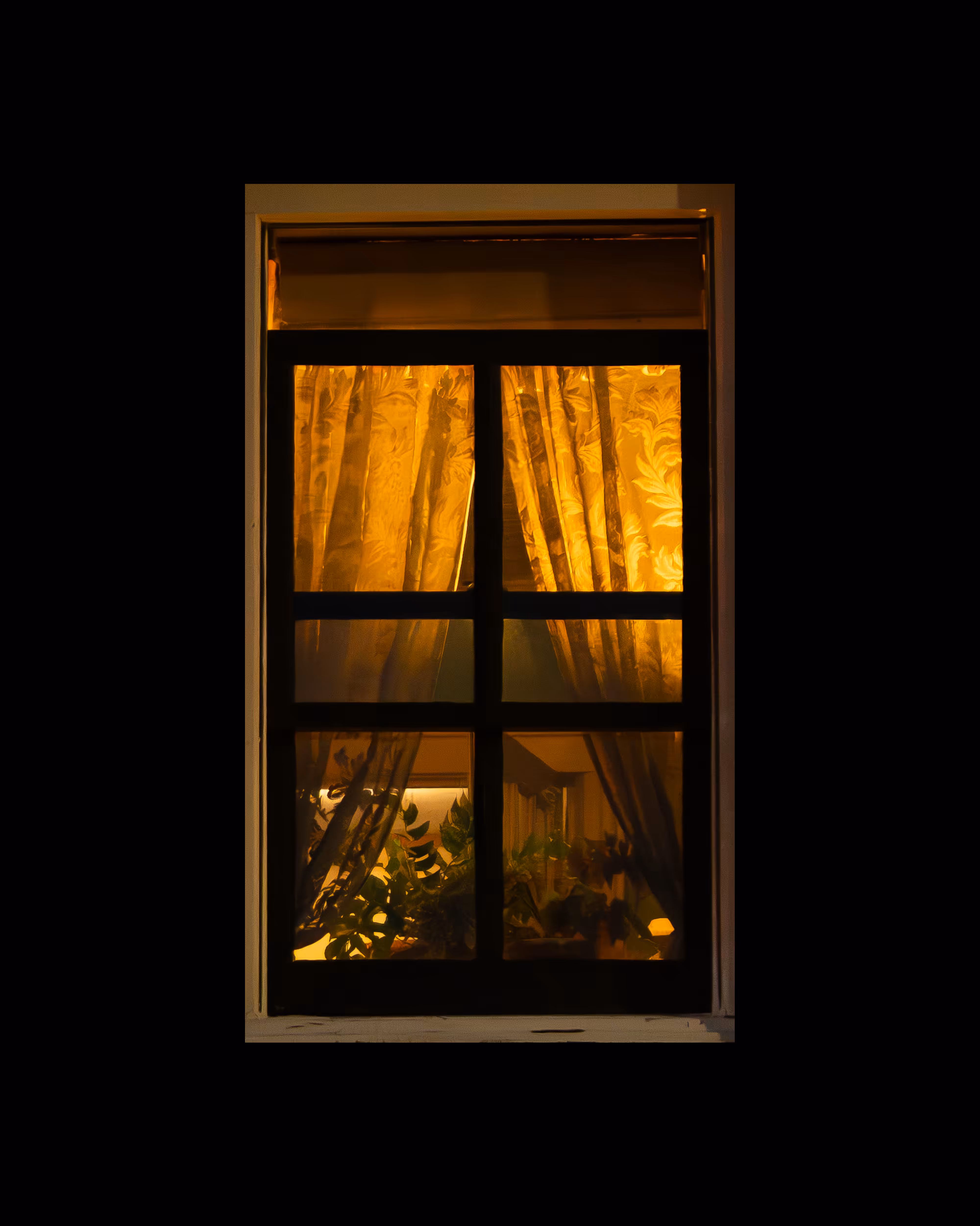 WINDOWS // NYC: WINDOW 228