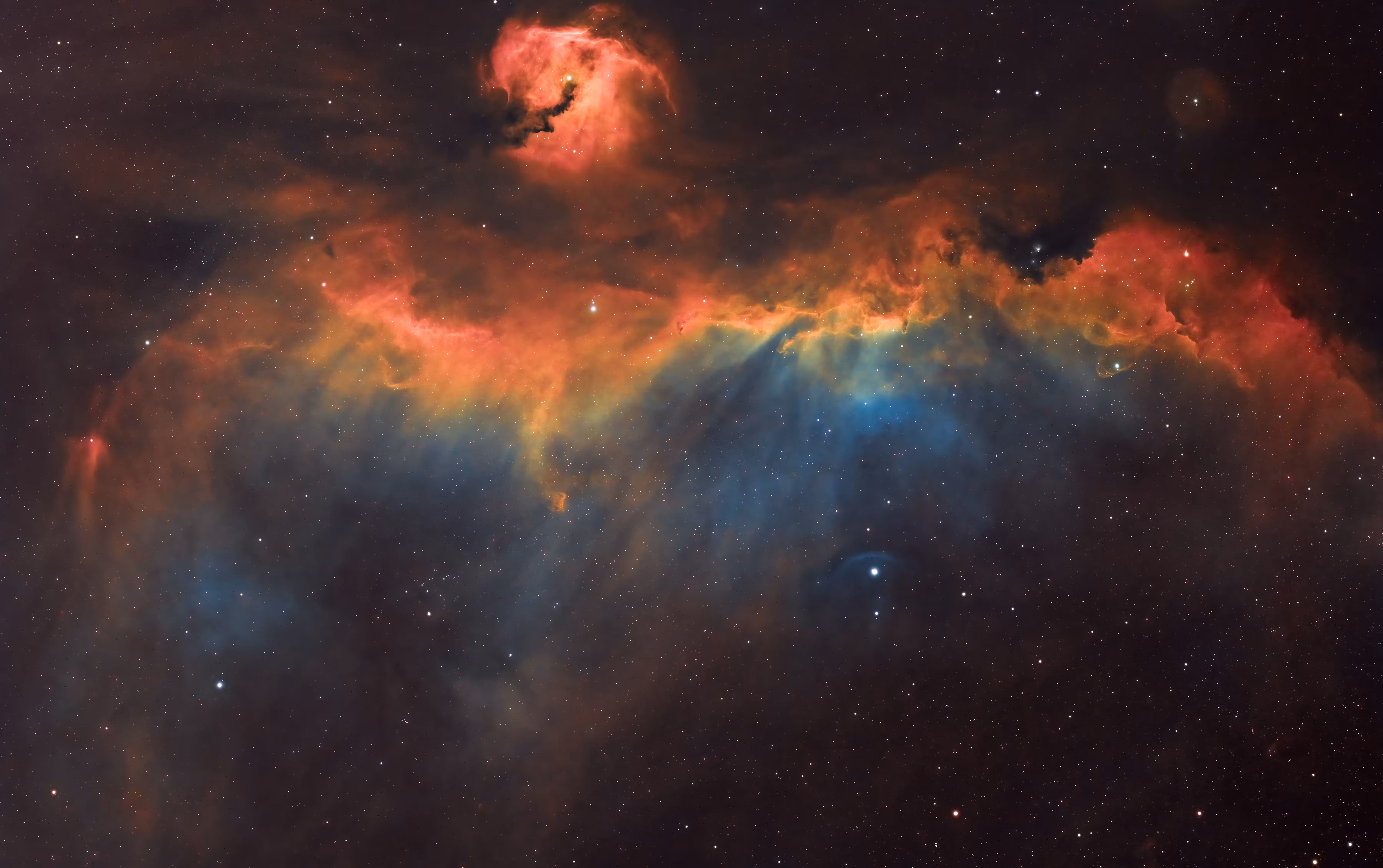 Deep Space x Cosmos Astro Art: Deep Space Collection # 19. The Seagull