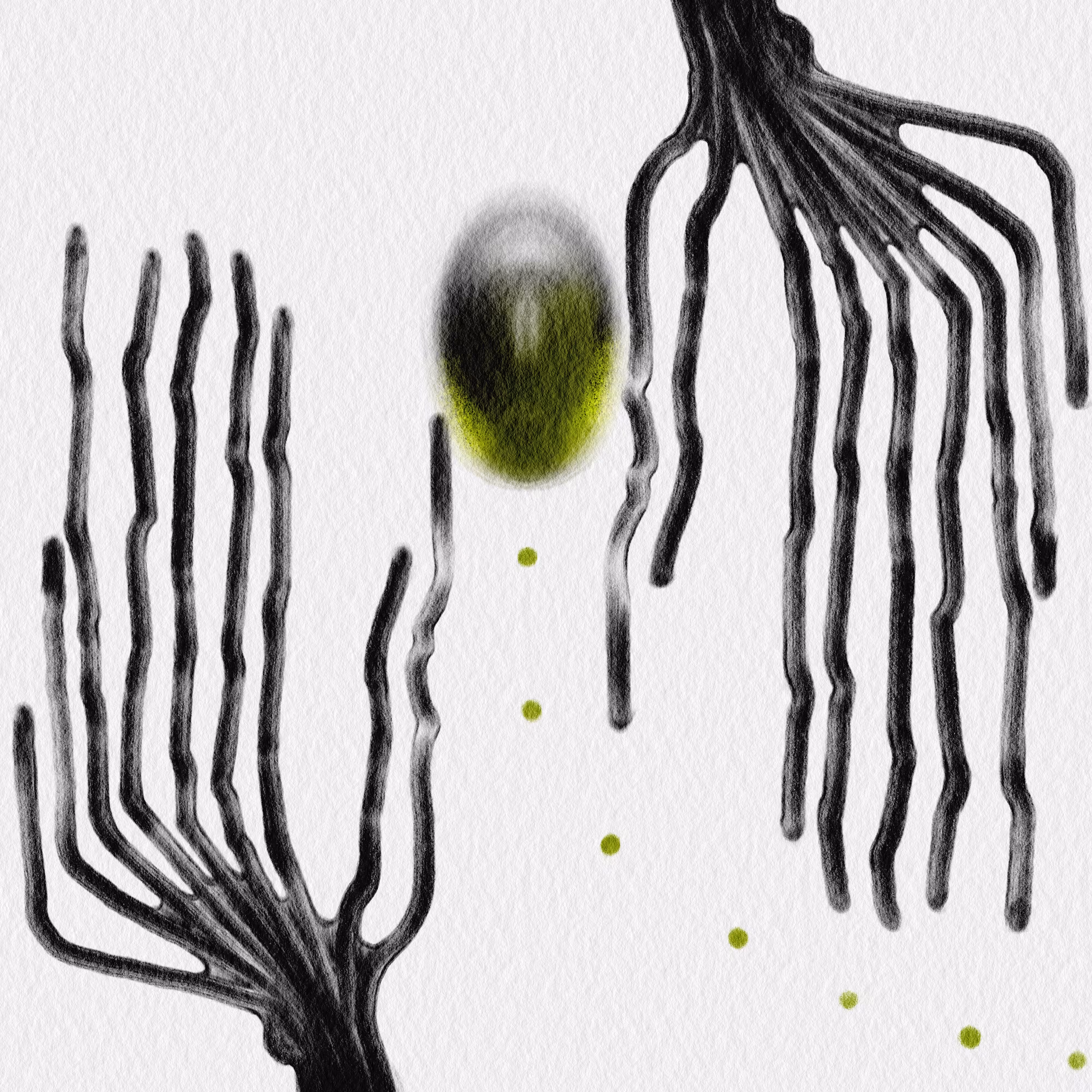 Metaglyphs #2