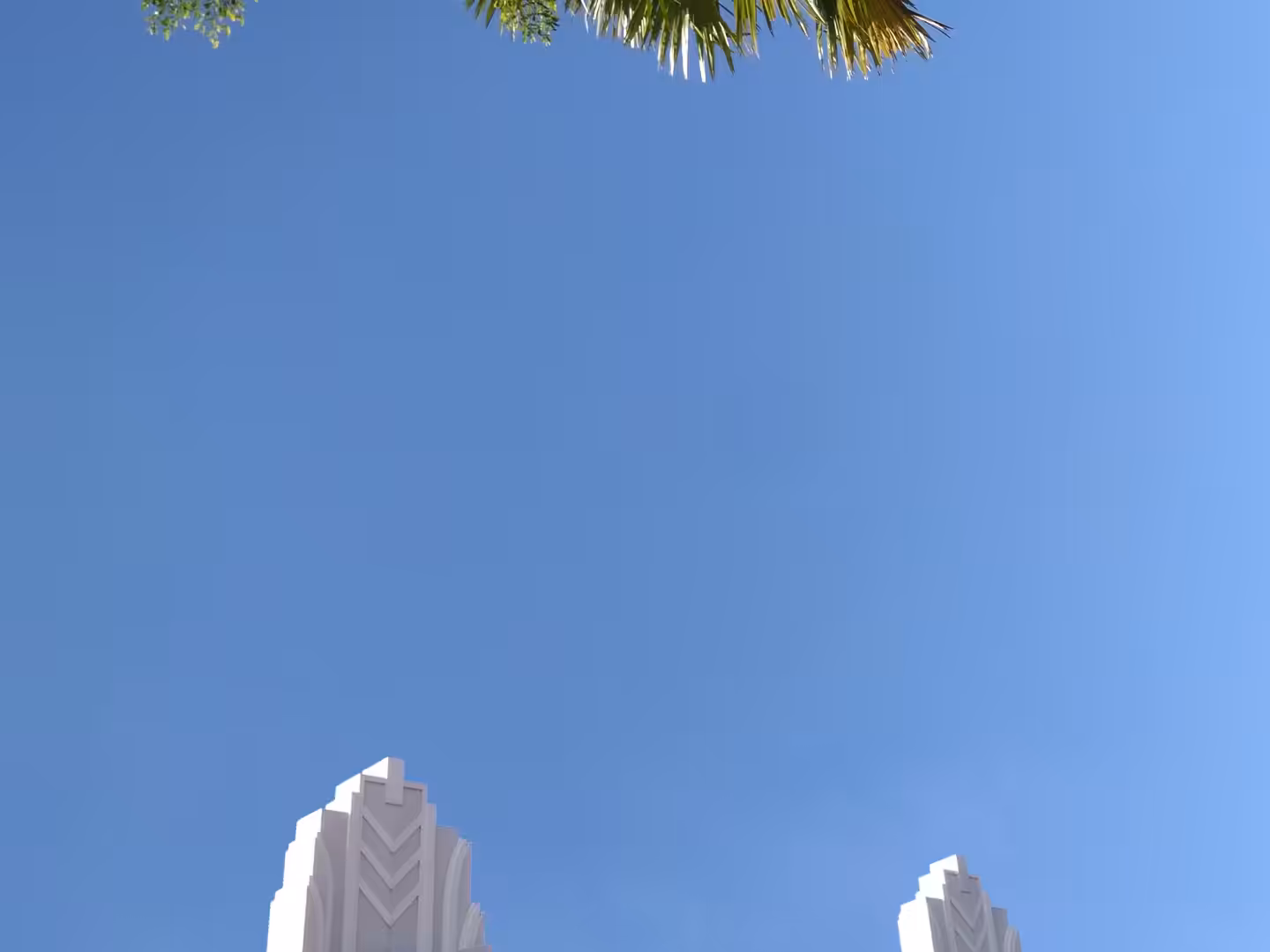 Blue Screen #25
