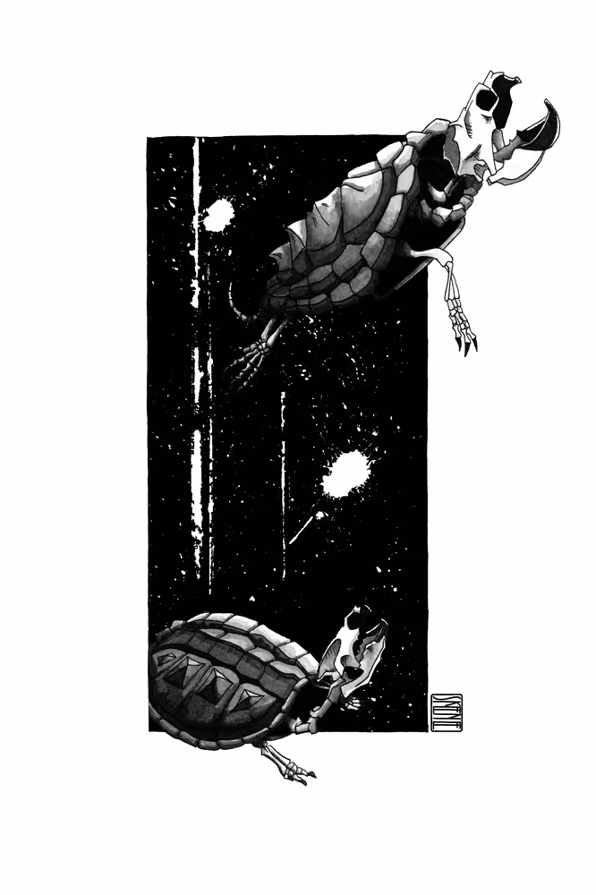 Snapping Turtle Skeletons Study