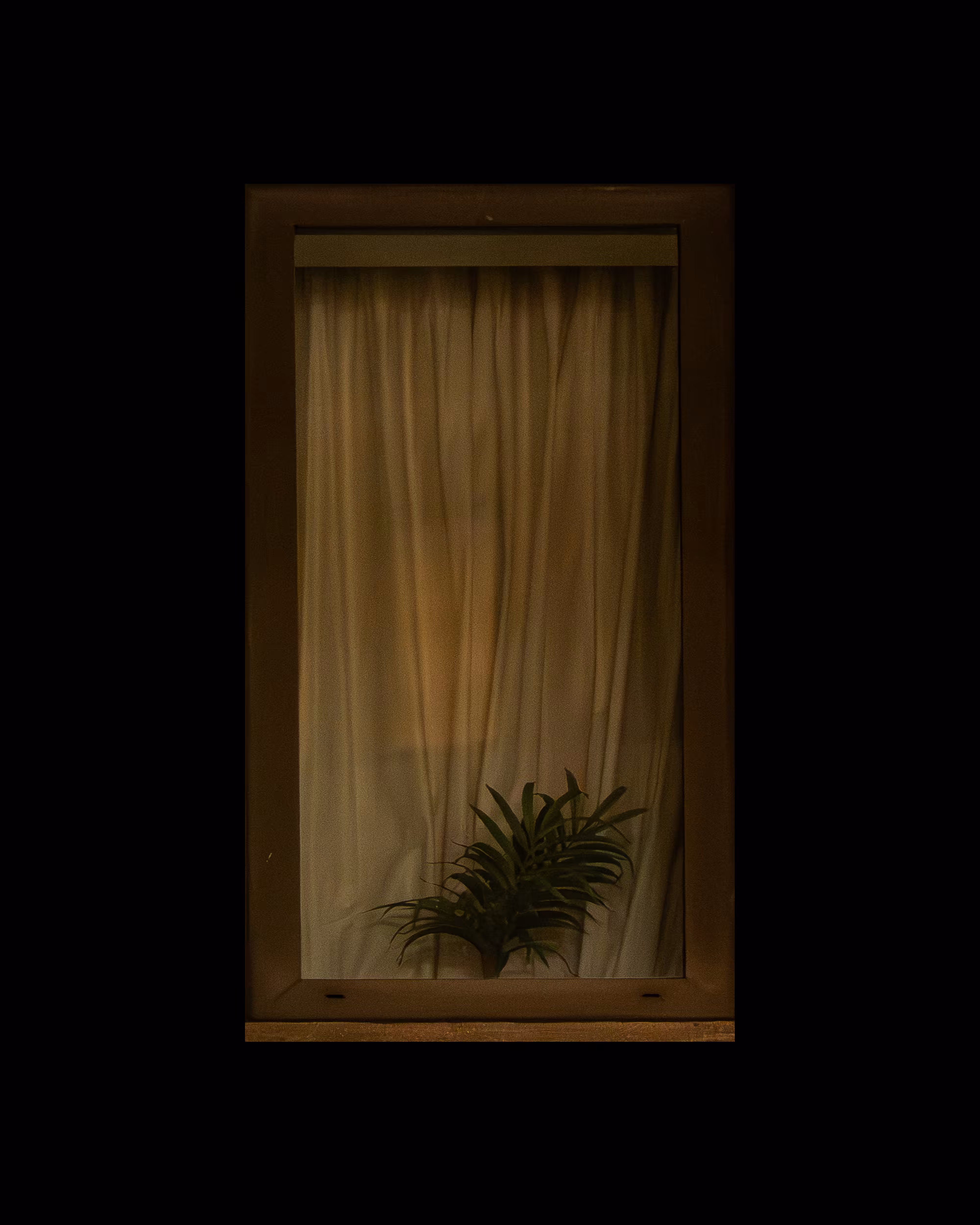 WINDOW 720