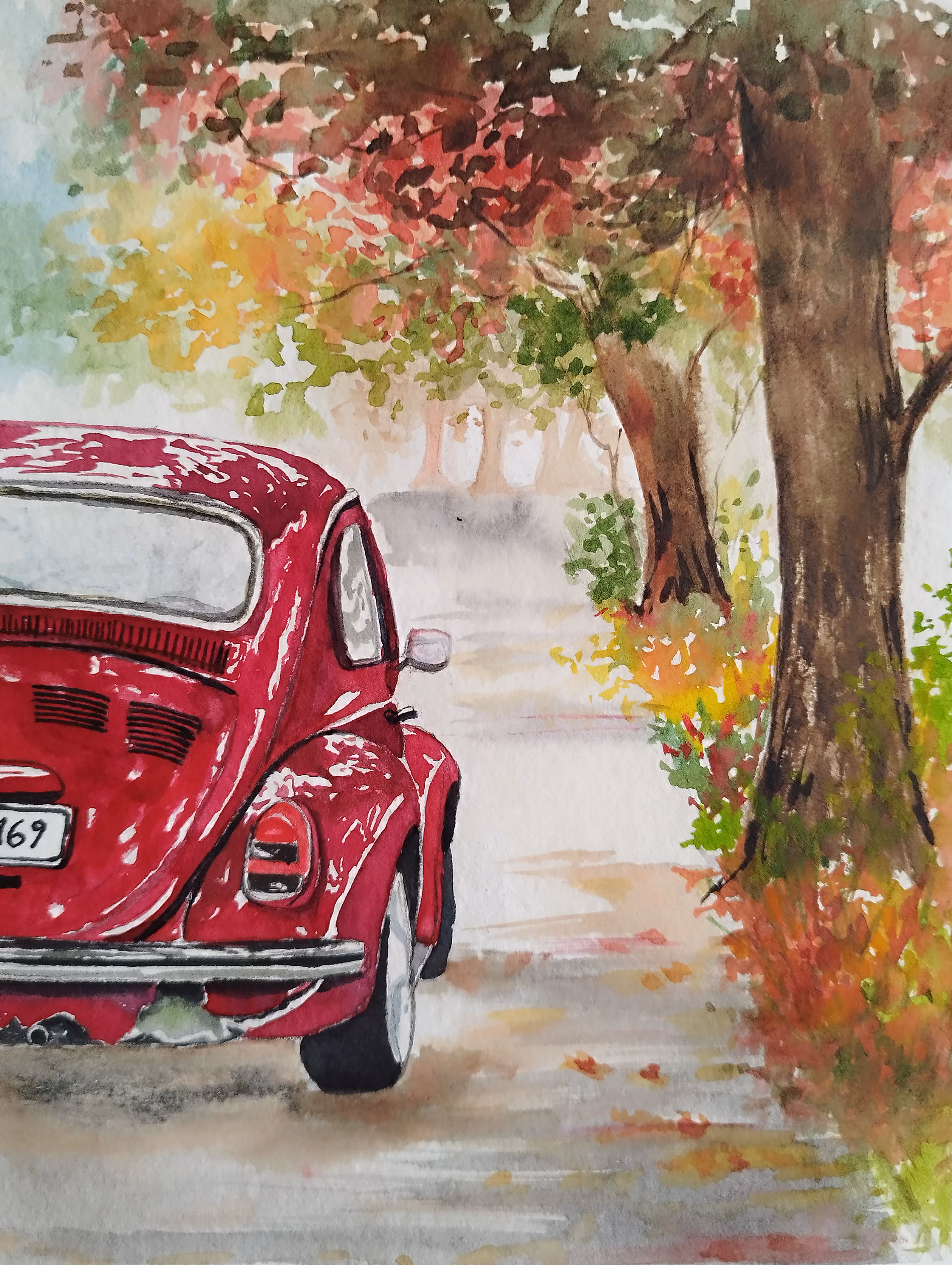 Volkswagen or Beetle