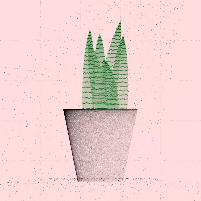 🌱 Potted & Printed #595