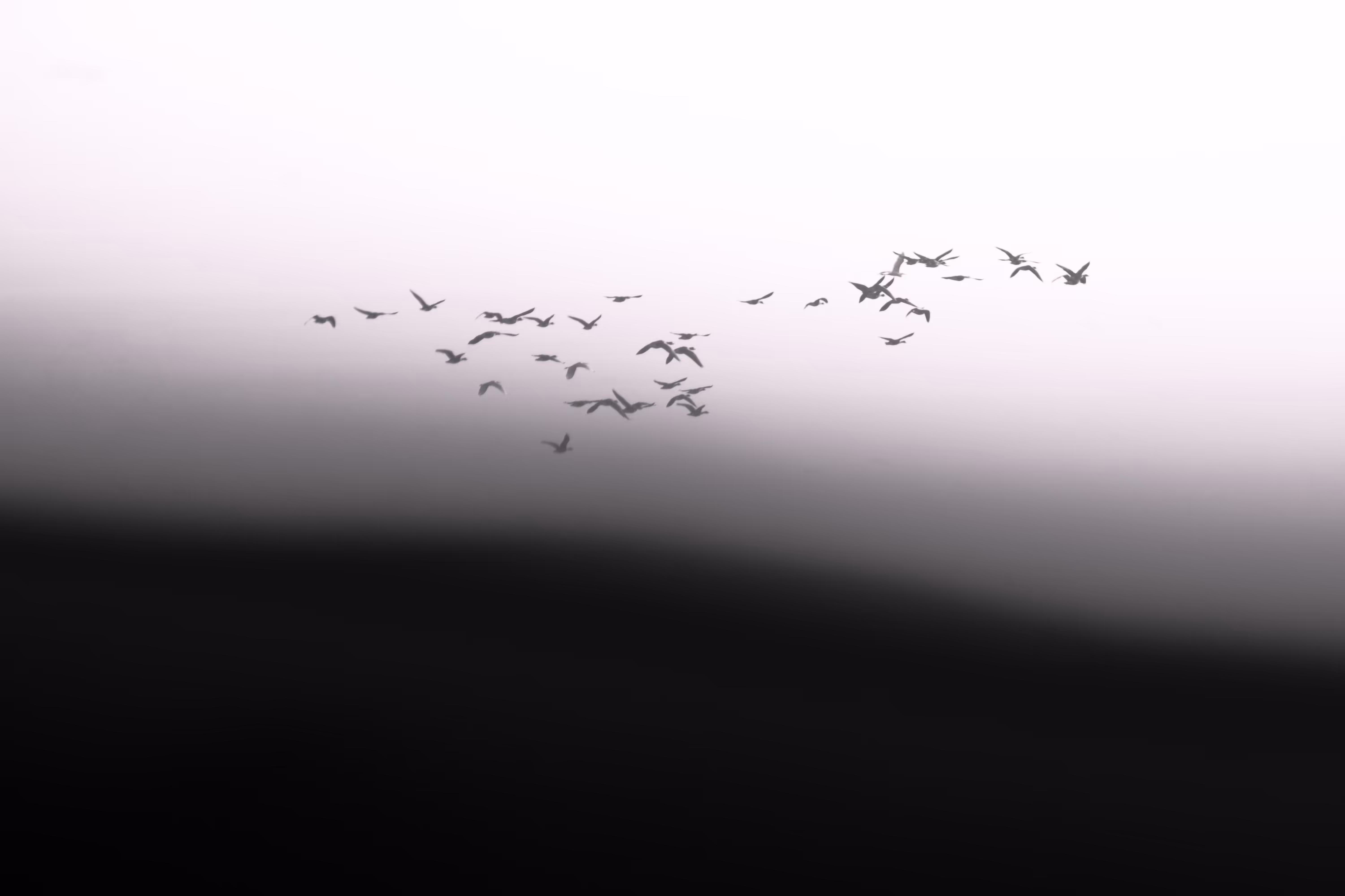 unknown