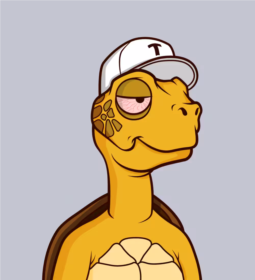 Tiny Turtle 154