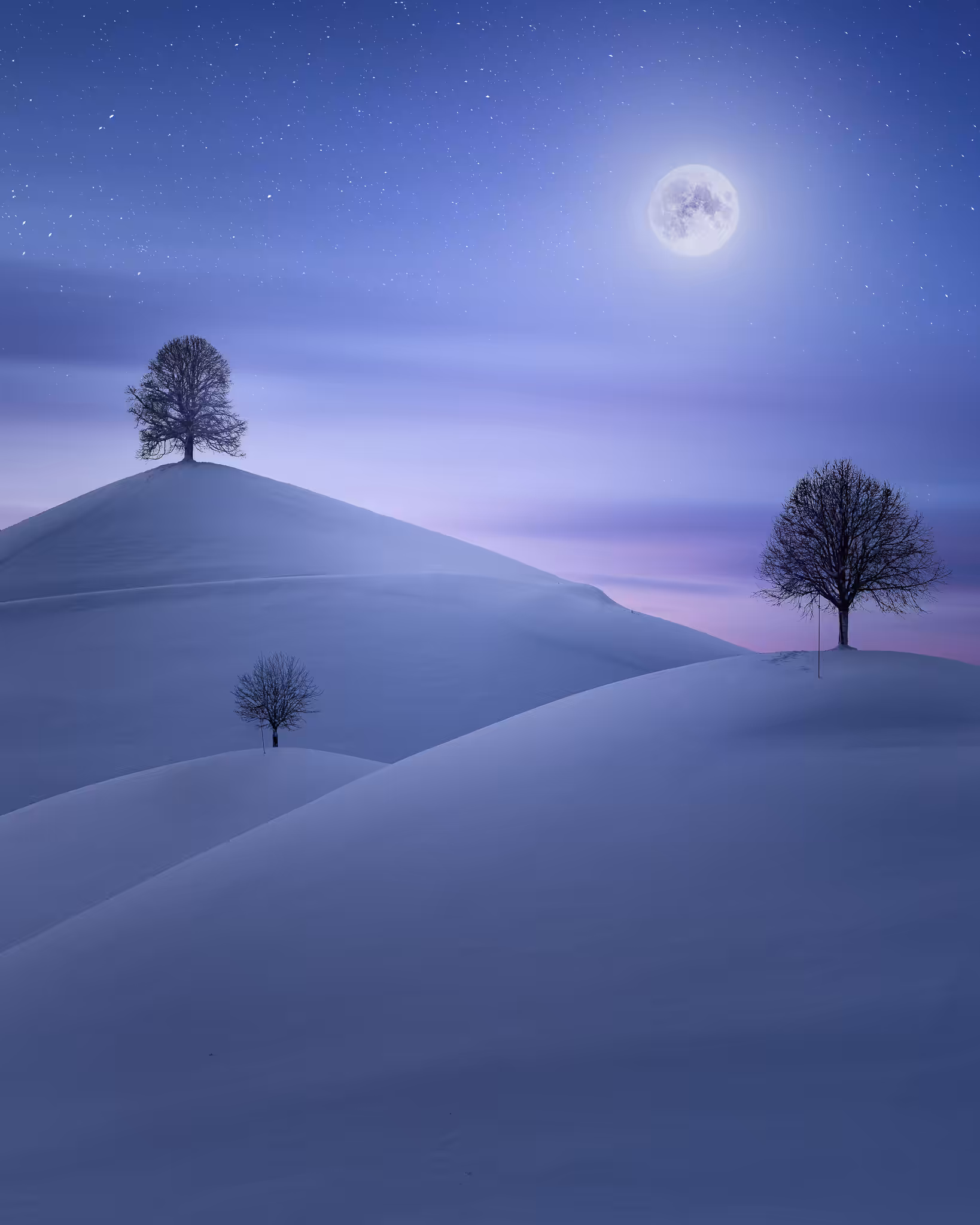 A Winter Night