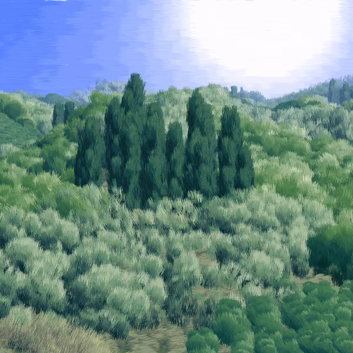 Provence #241