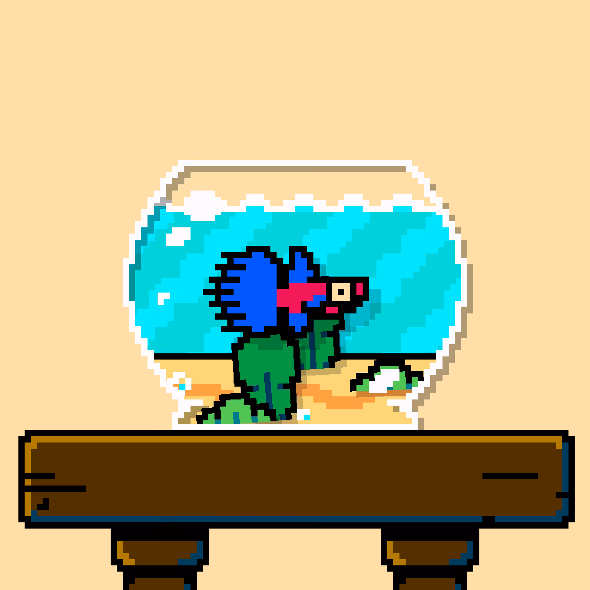 betta fish #544