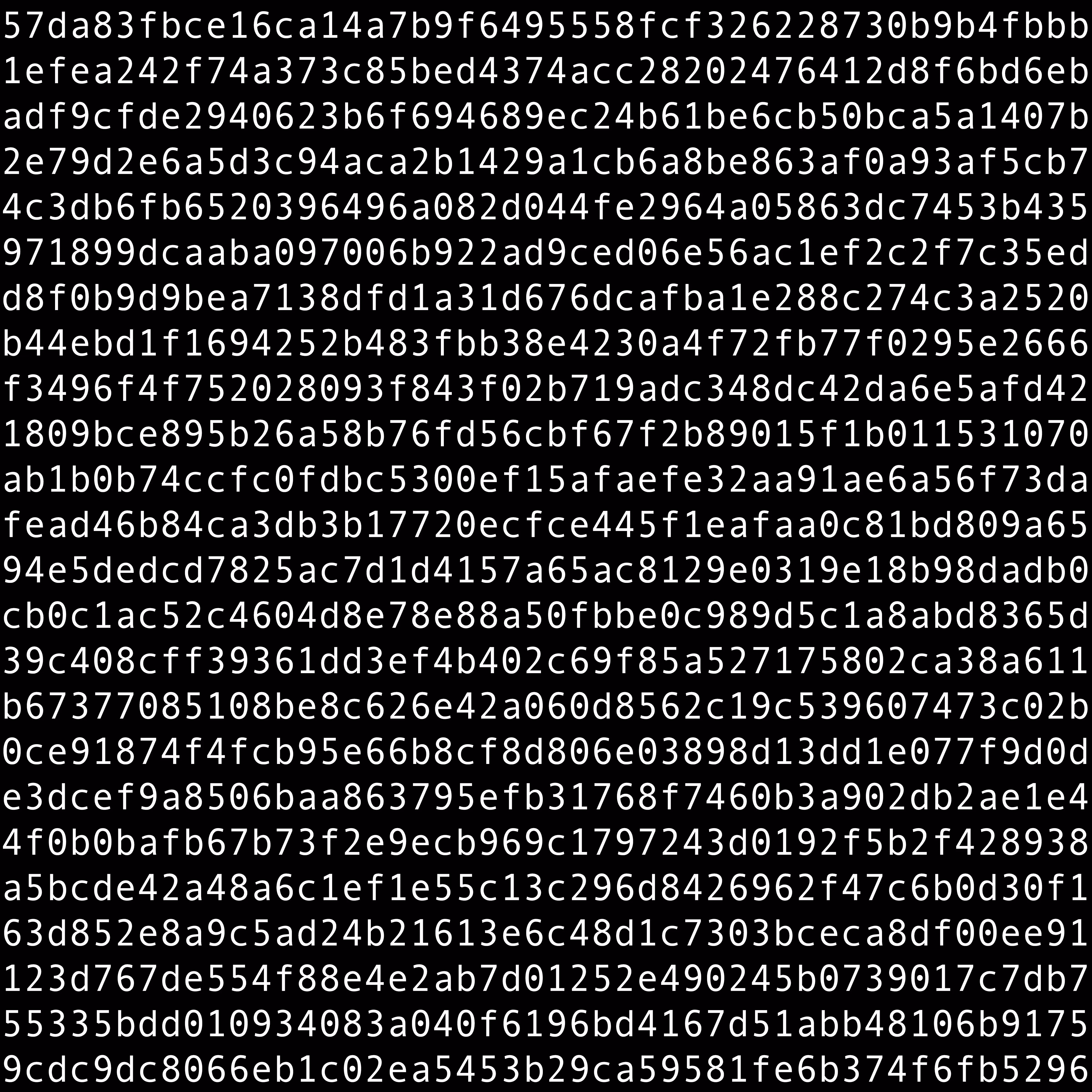 1111 #0737