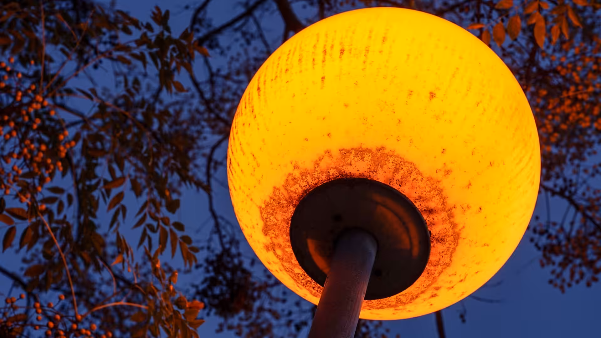 Moon Lamp