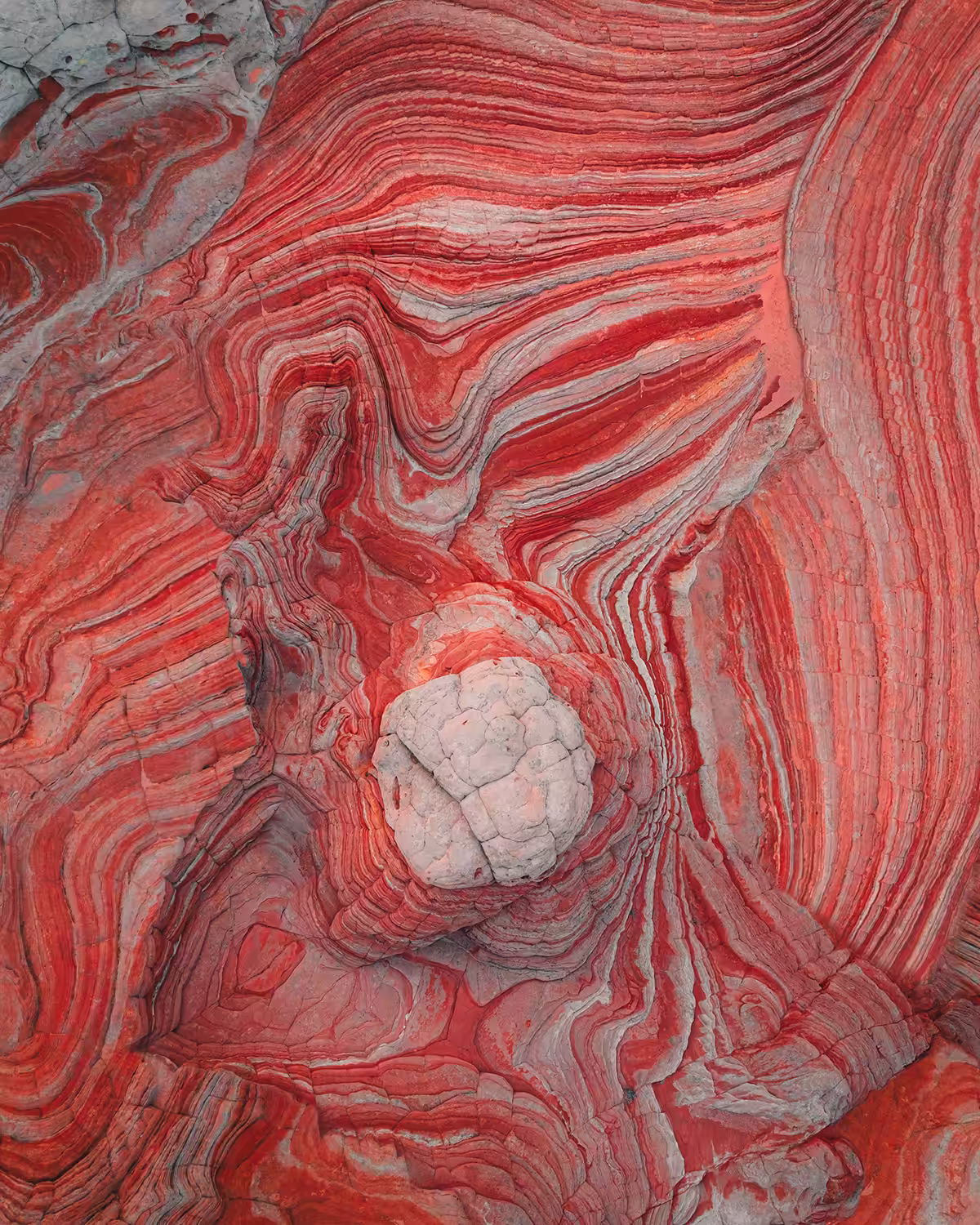 Peppermint Swirls #5/69