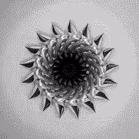 Infinity Animations: Lavan
