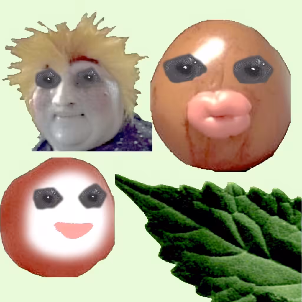 0 0 4
