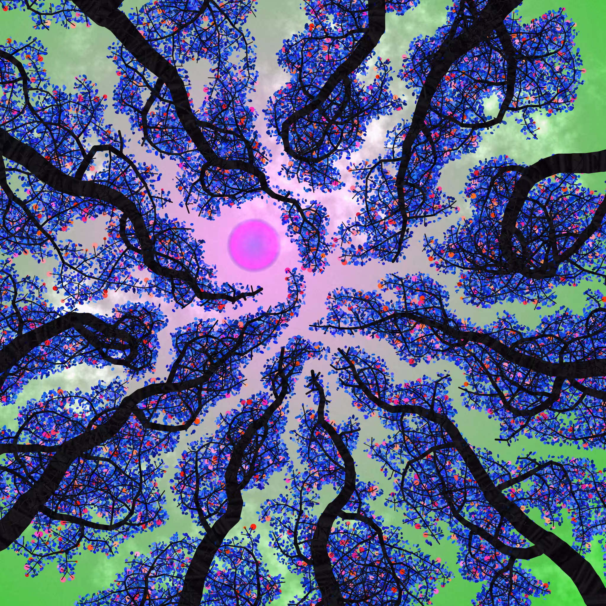 Tree Skyness #5