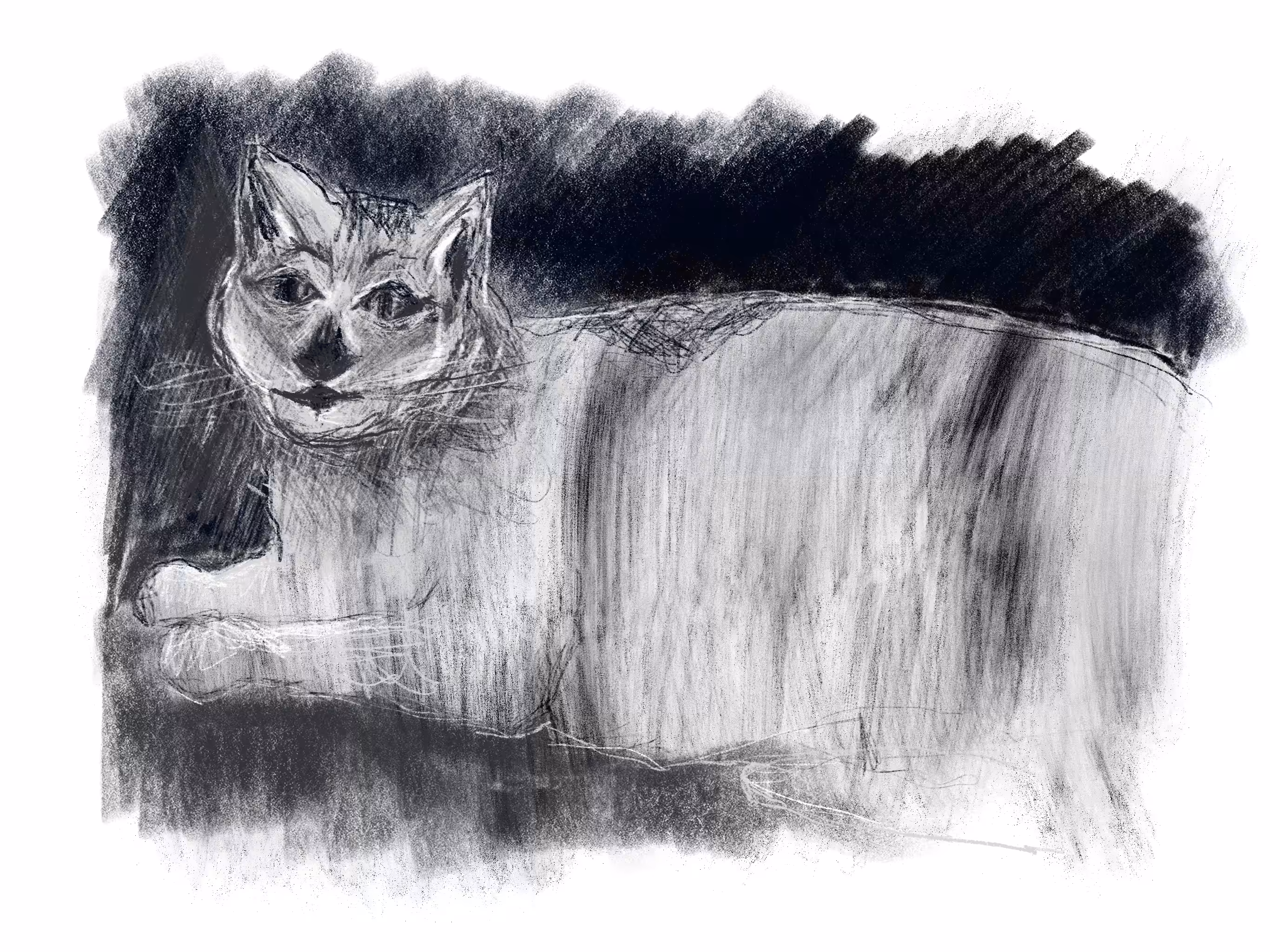 opentez sketch
