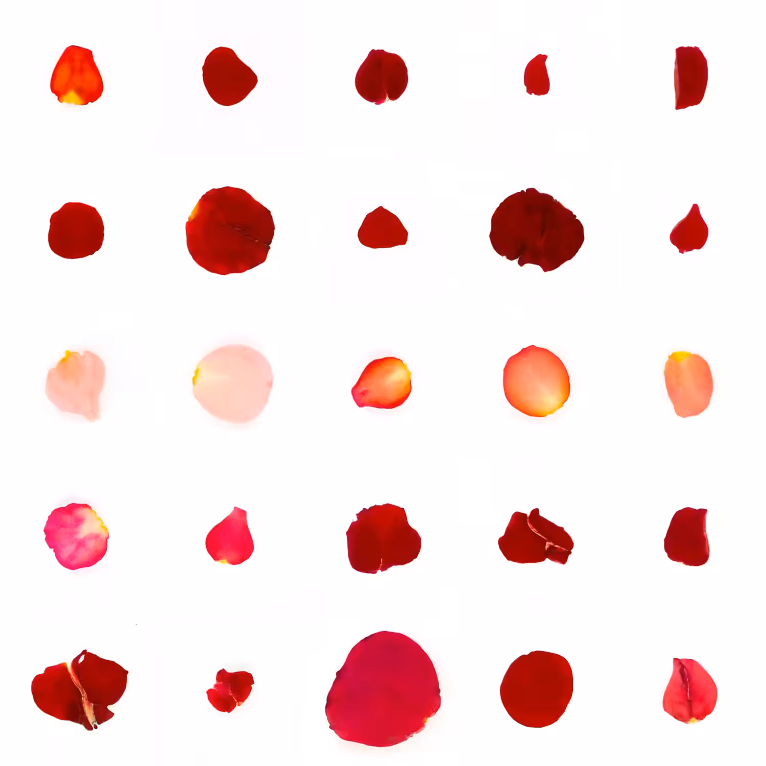 Infinite Petals 5x5#20031
