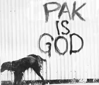 Pak is God
